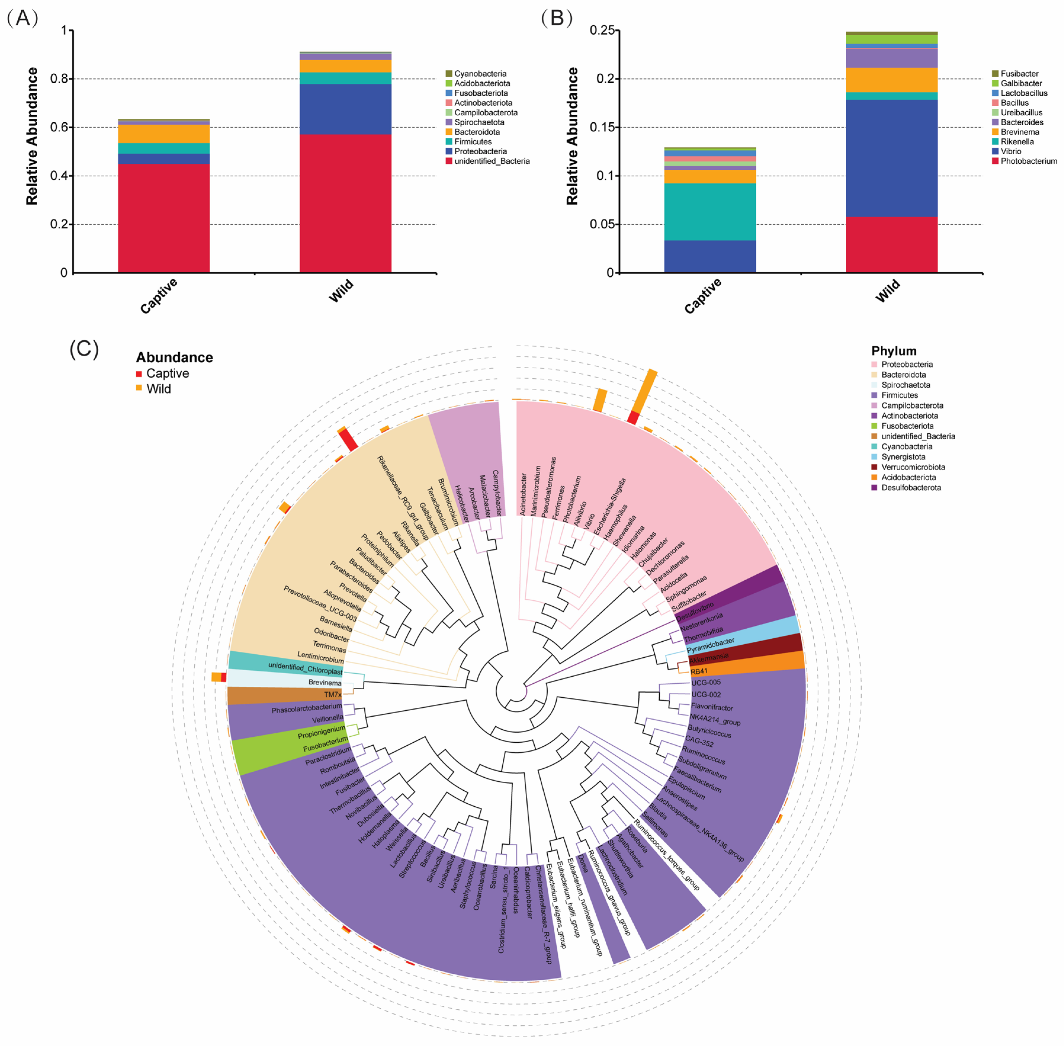 Marinedrugs 23 00140 g003
