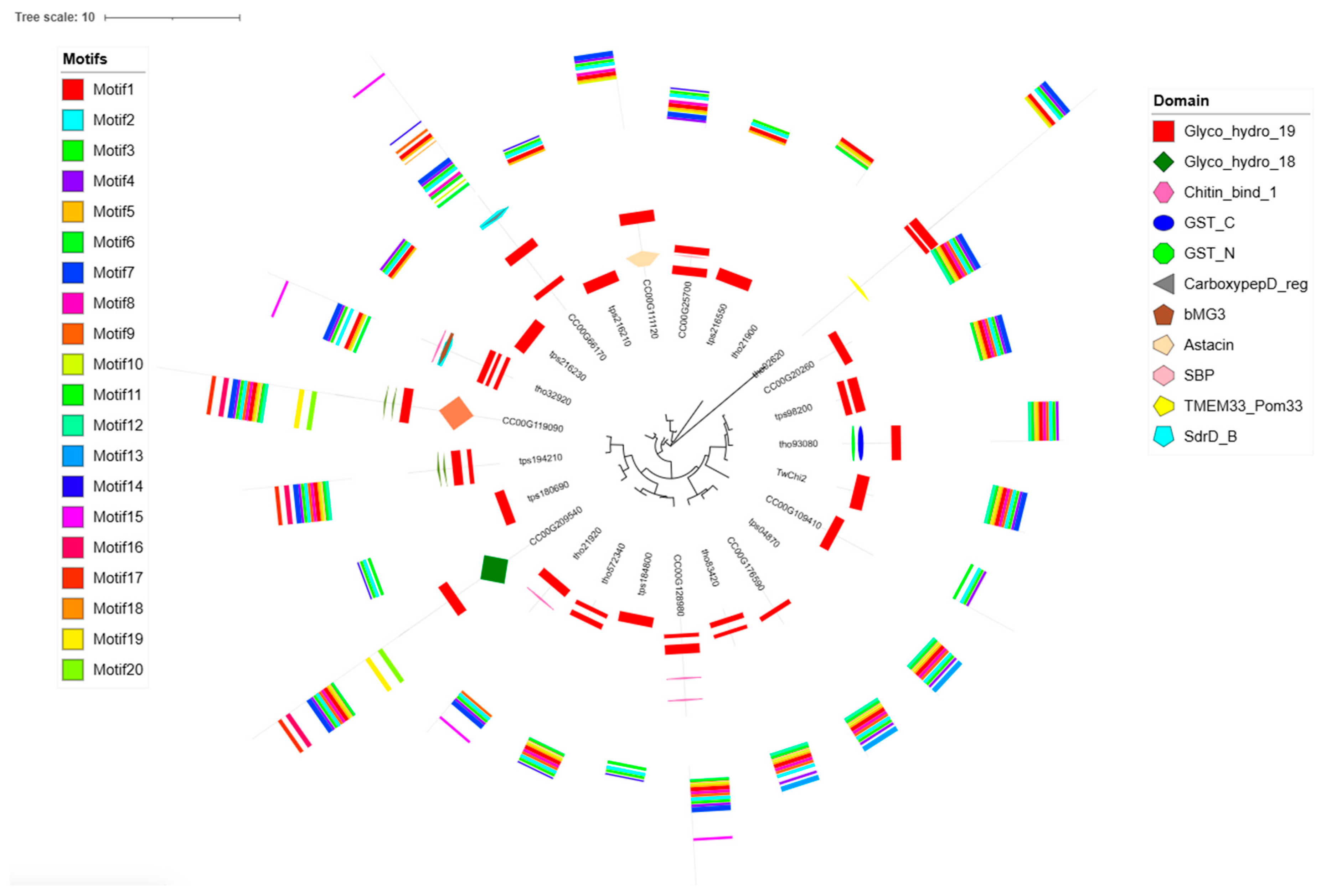 Marinedrugs 23 00144 g003