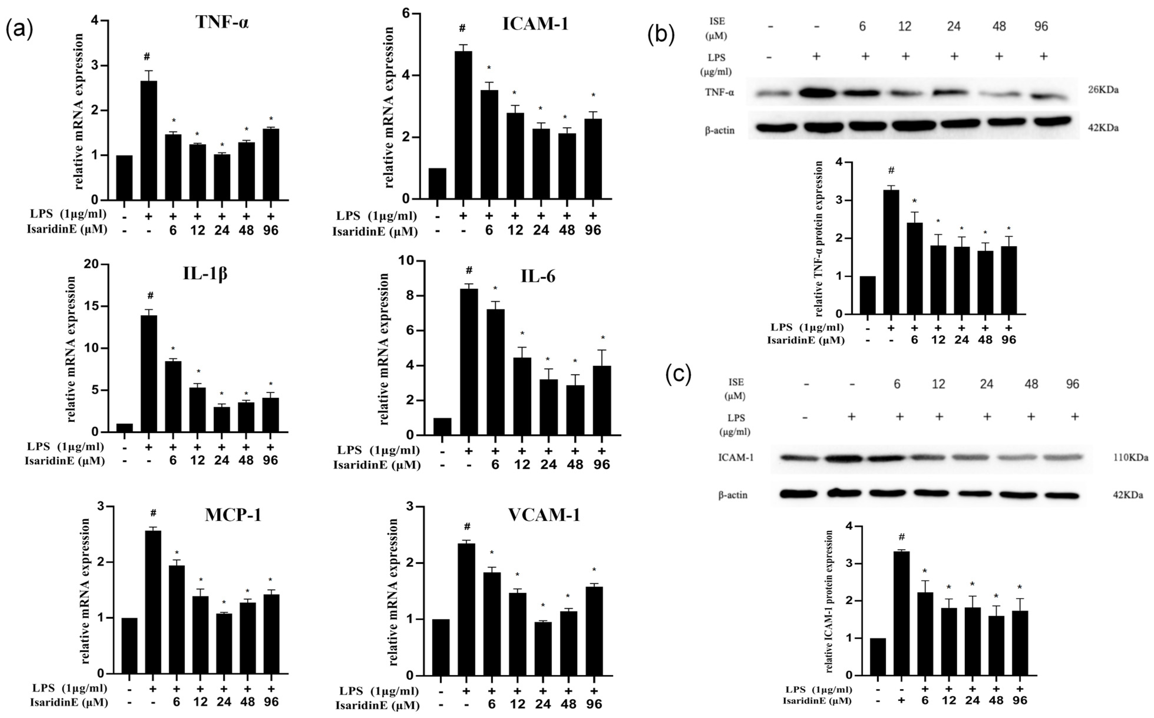 Marinedrugs 23 00145 g002