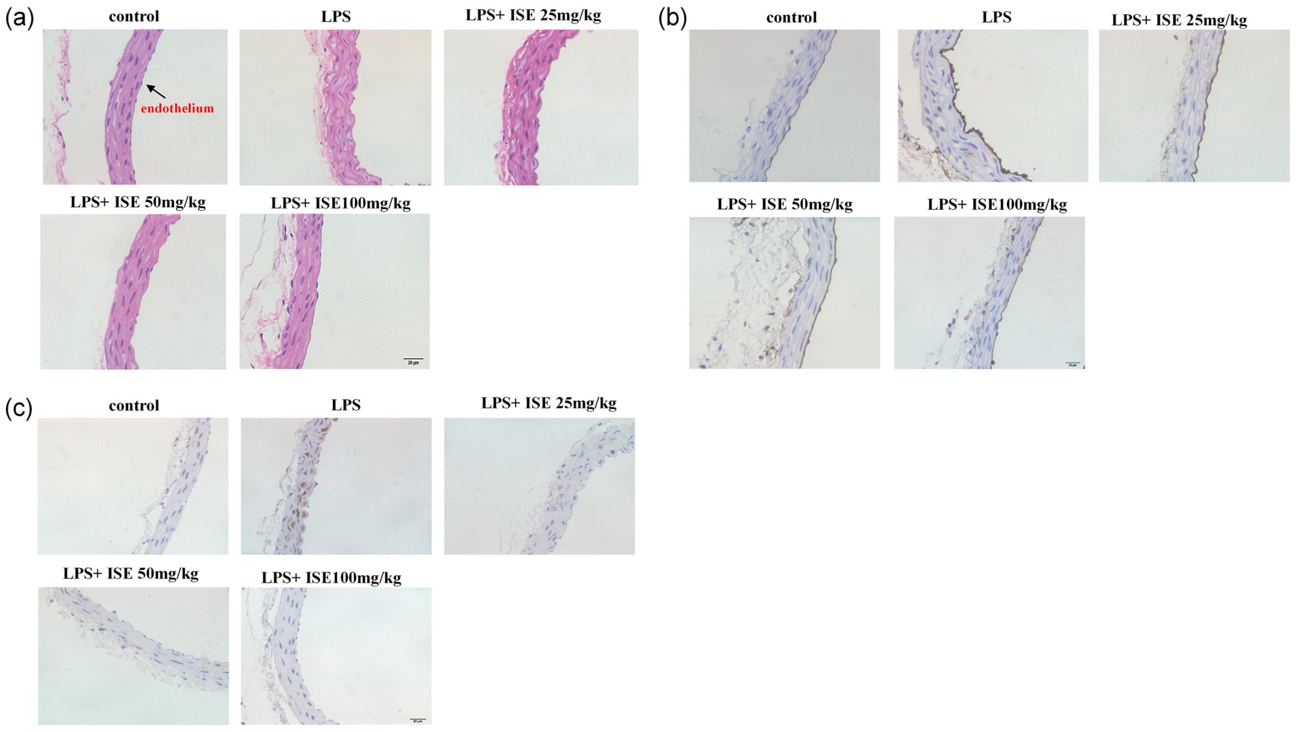 Marinedrugs 23 00145 g003