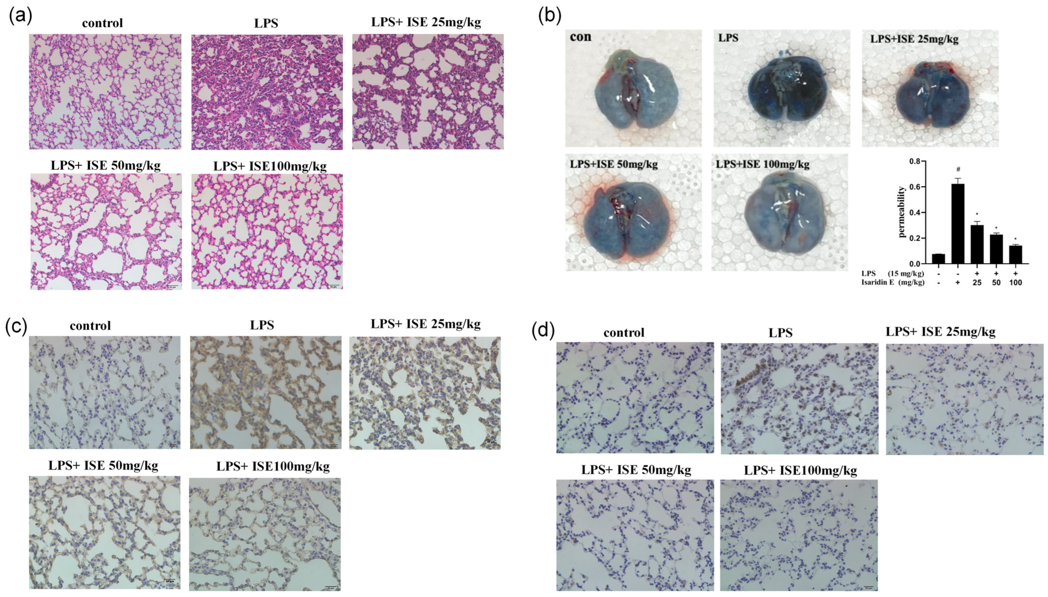 Marinedrugs 23 00145 g004