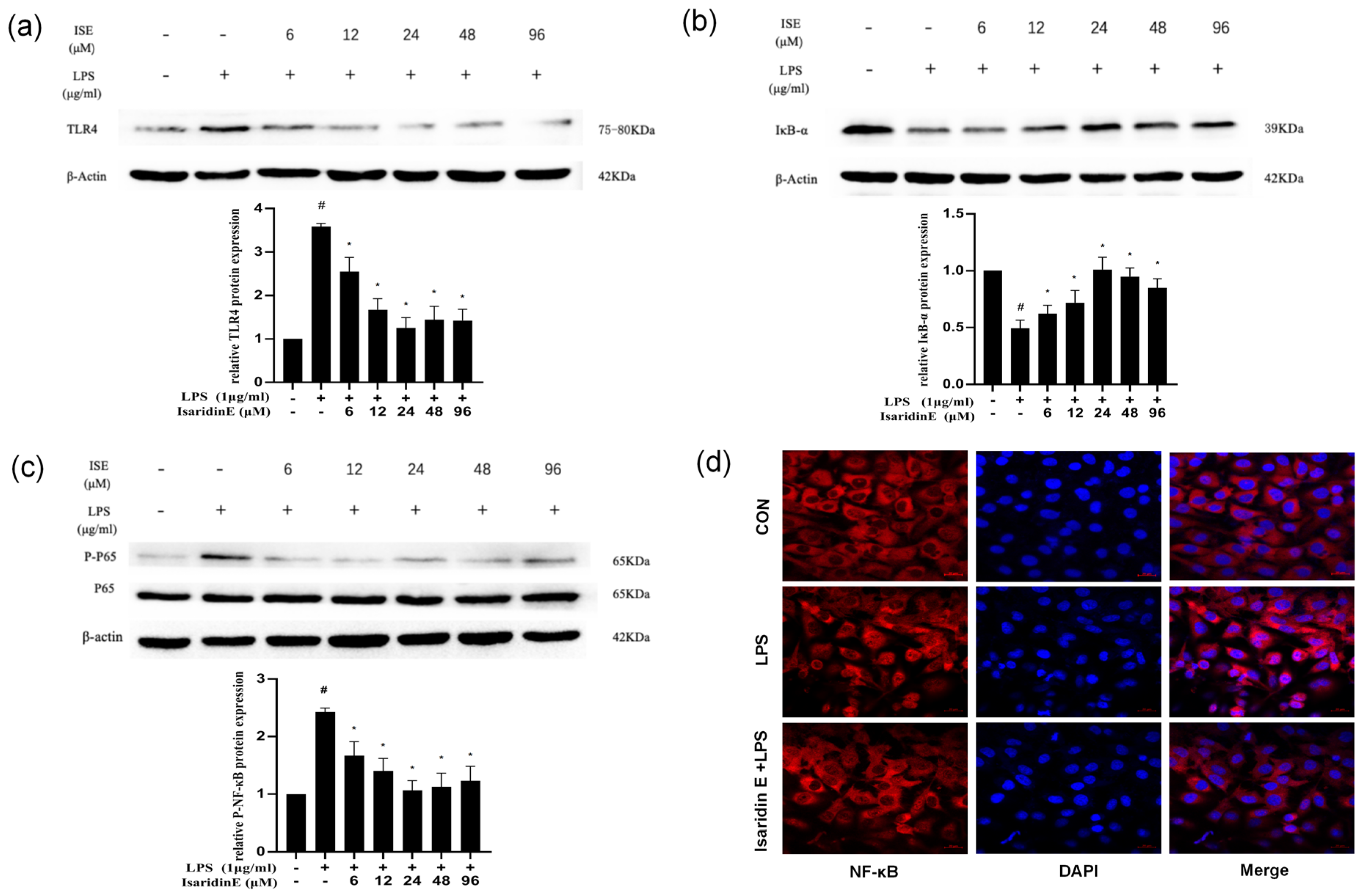Marinedrugs 23 00145 g005