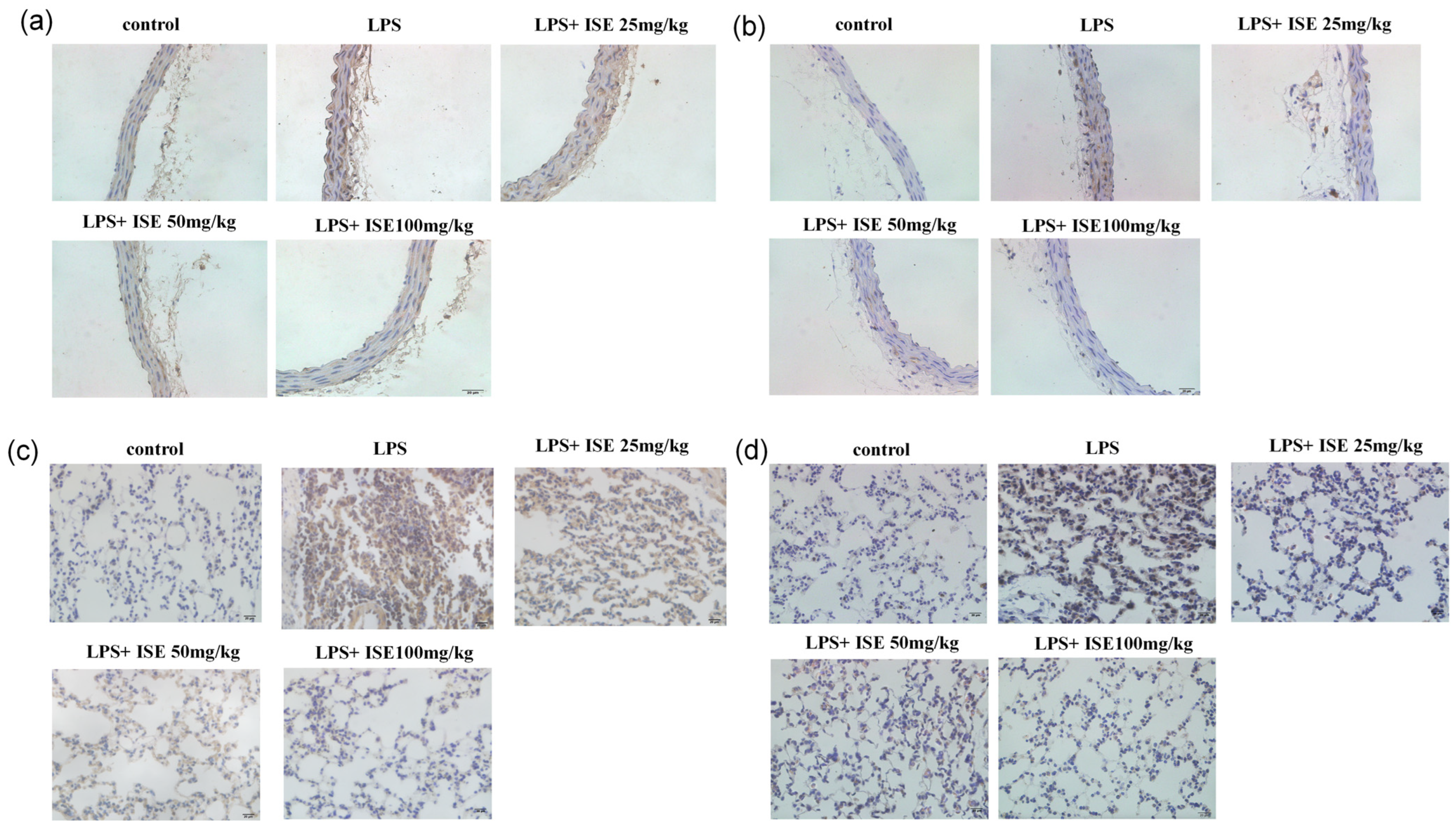 Marinedrugs 23 00145 g006