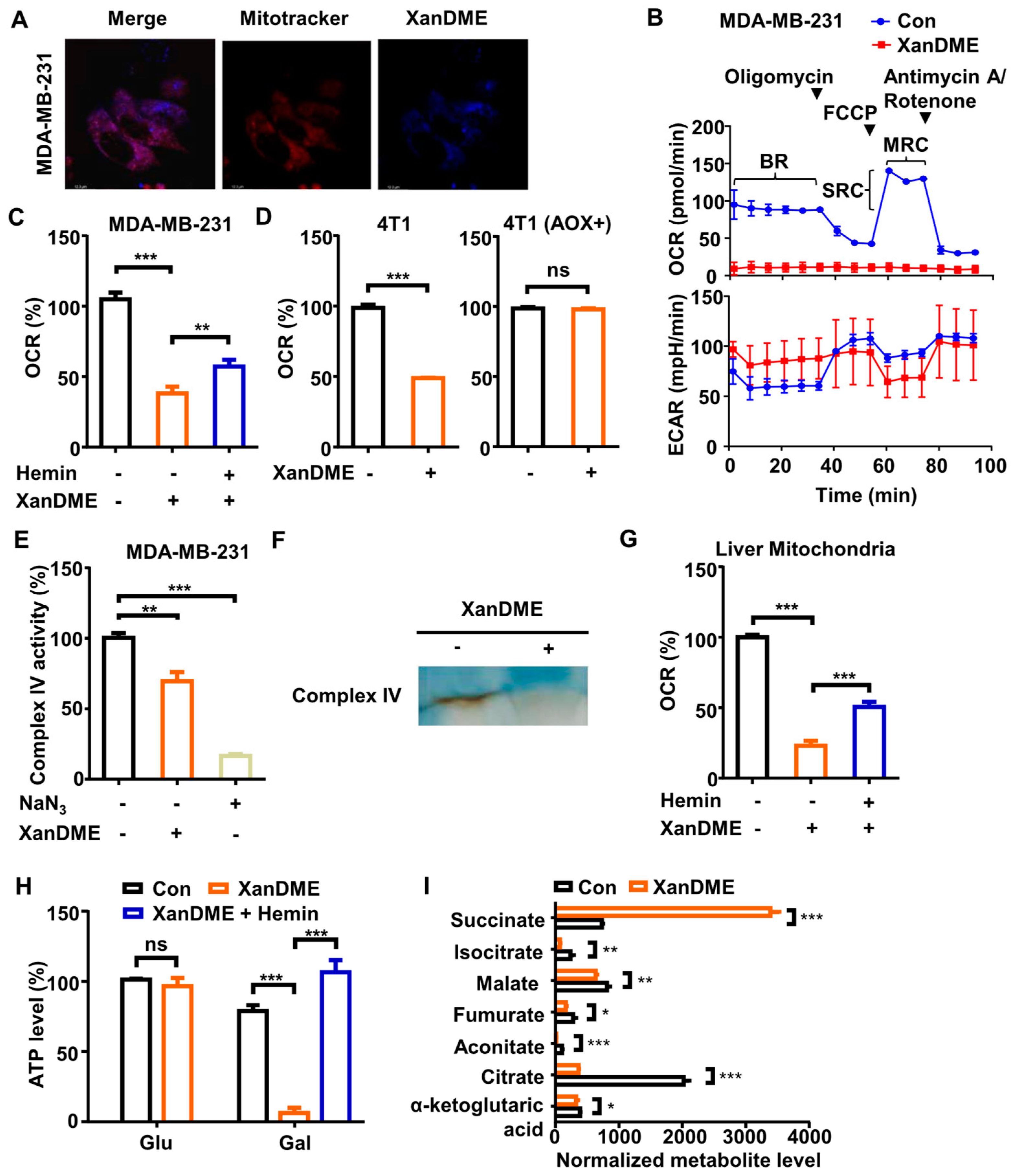 Marinedrugs 23 00146 g003