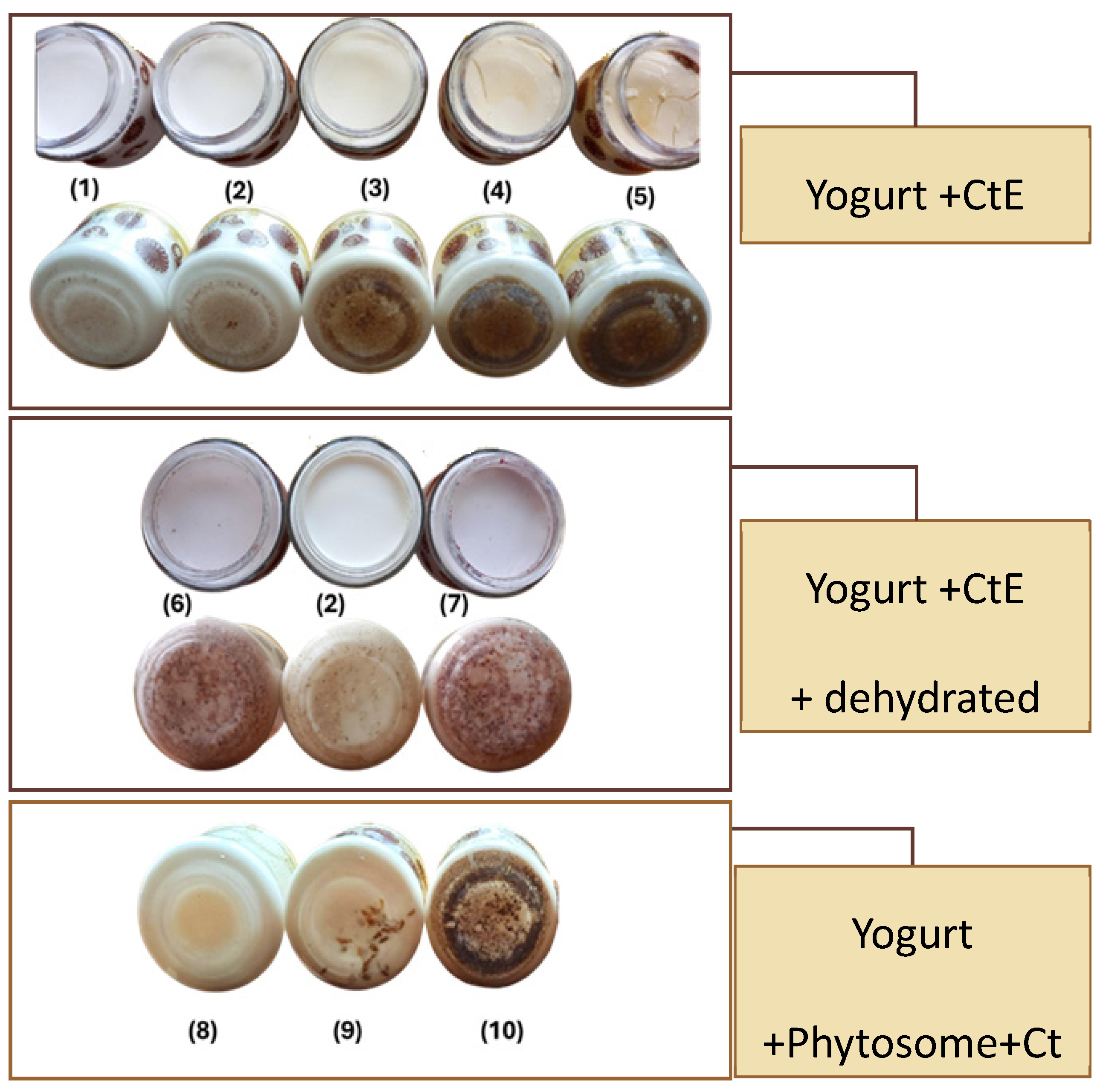 Marinedrugs 23 00147 g005