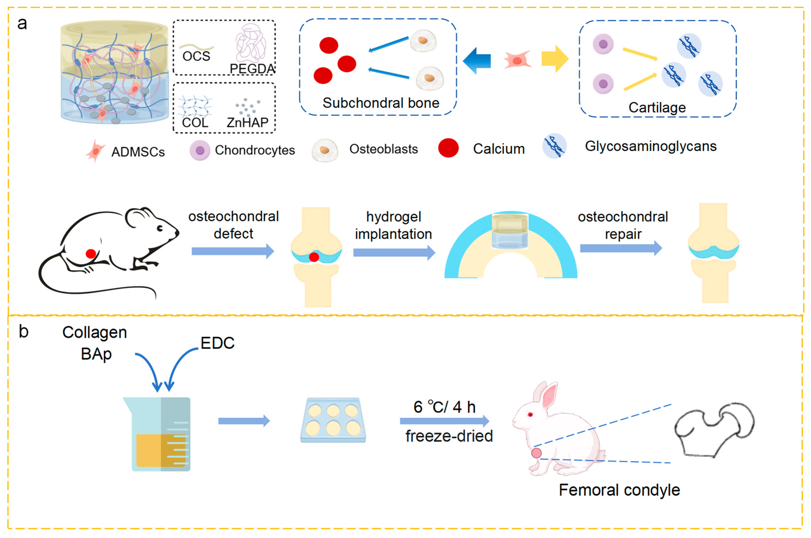 Marinedrugs 23 00151 g004