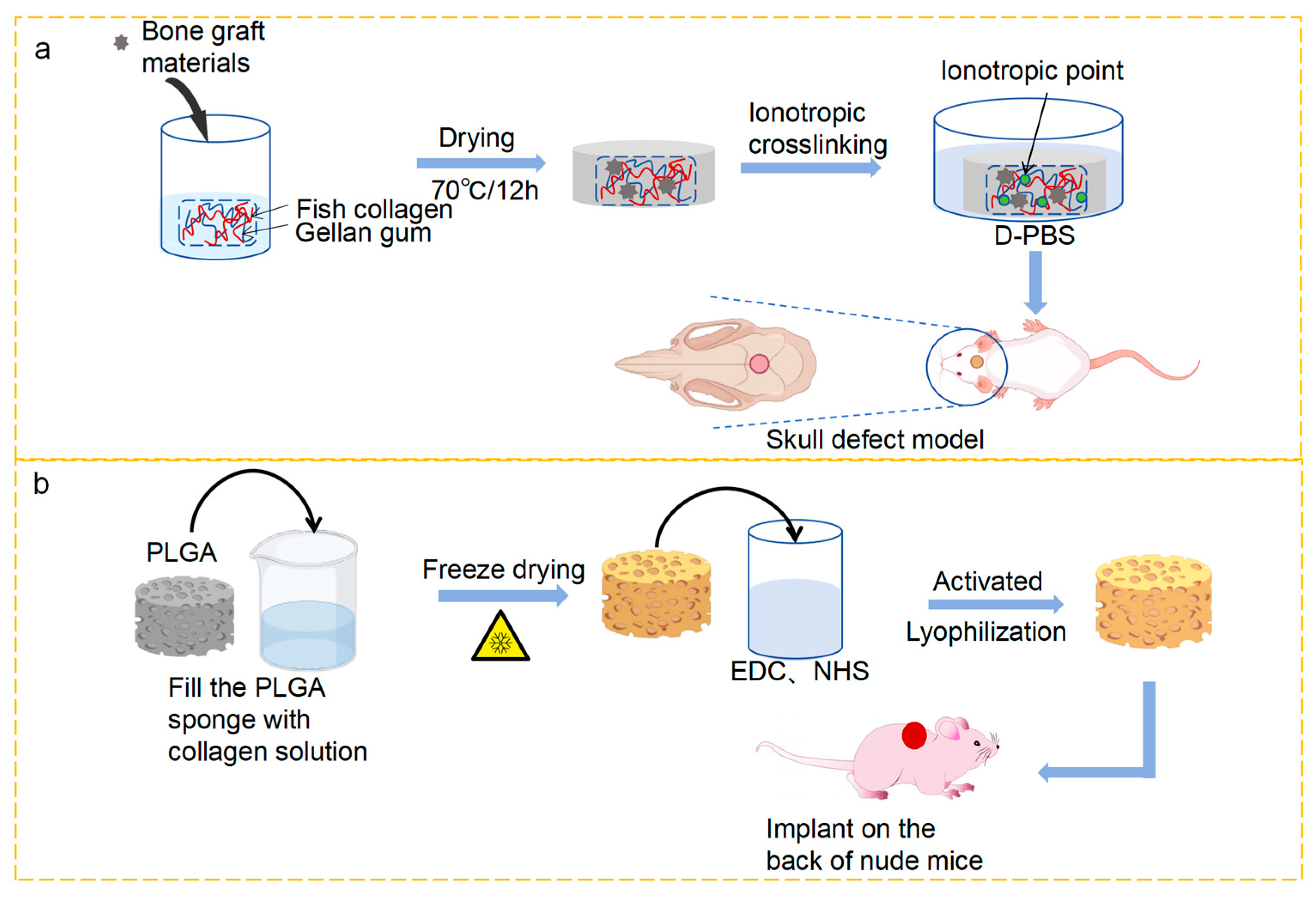 Marinedrugs 23 00151 g005