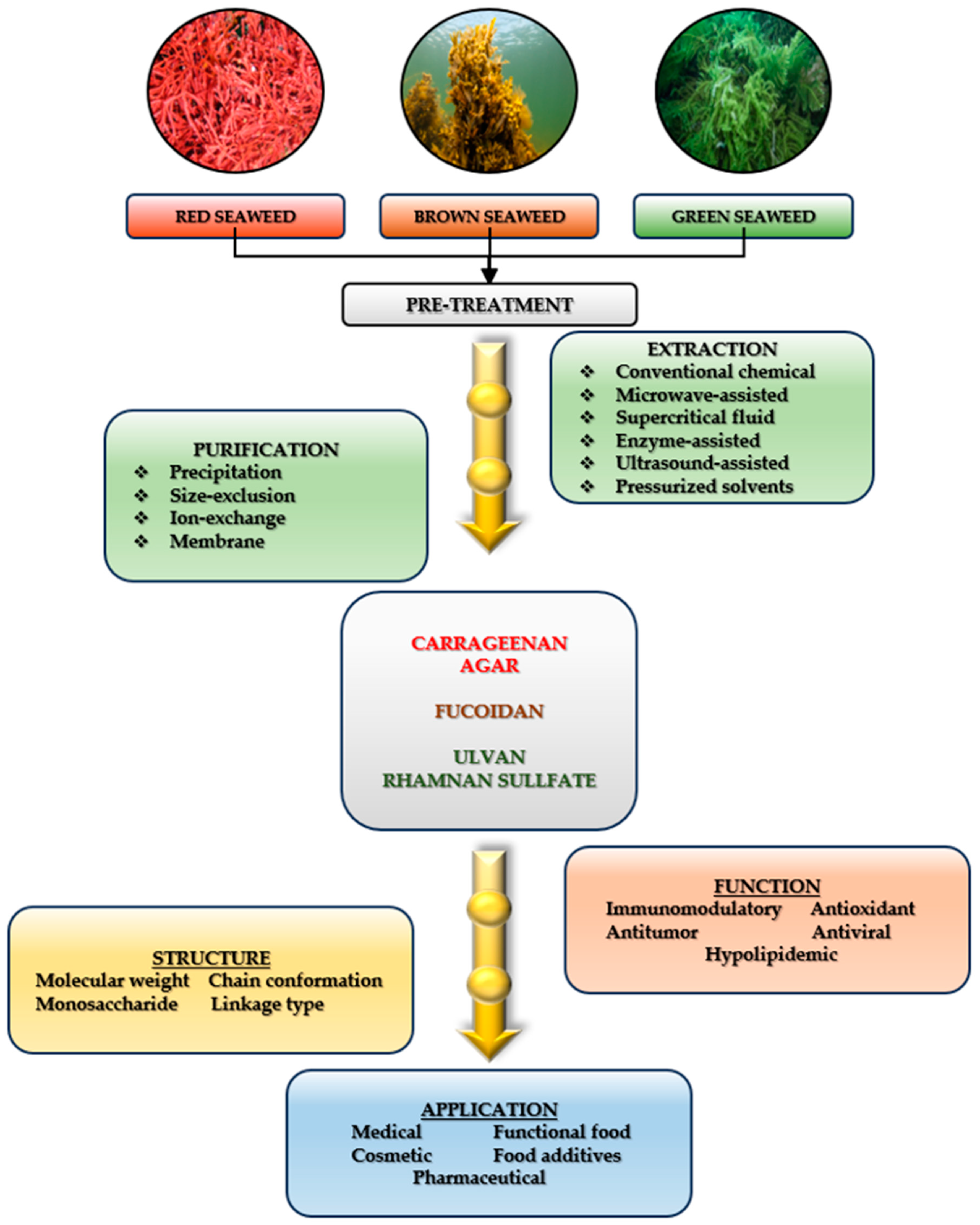 Marinedrugs 23 00152 g003