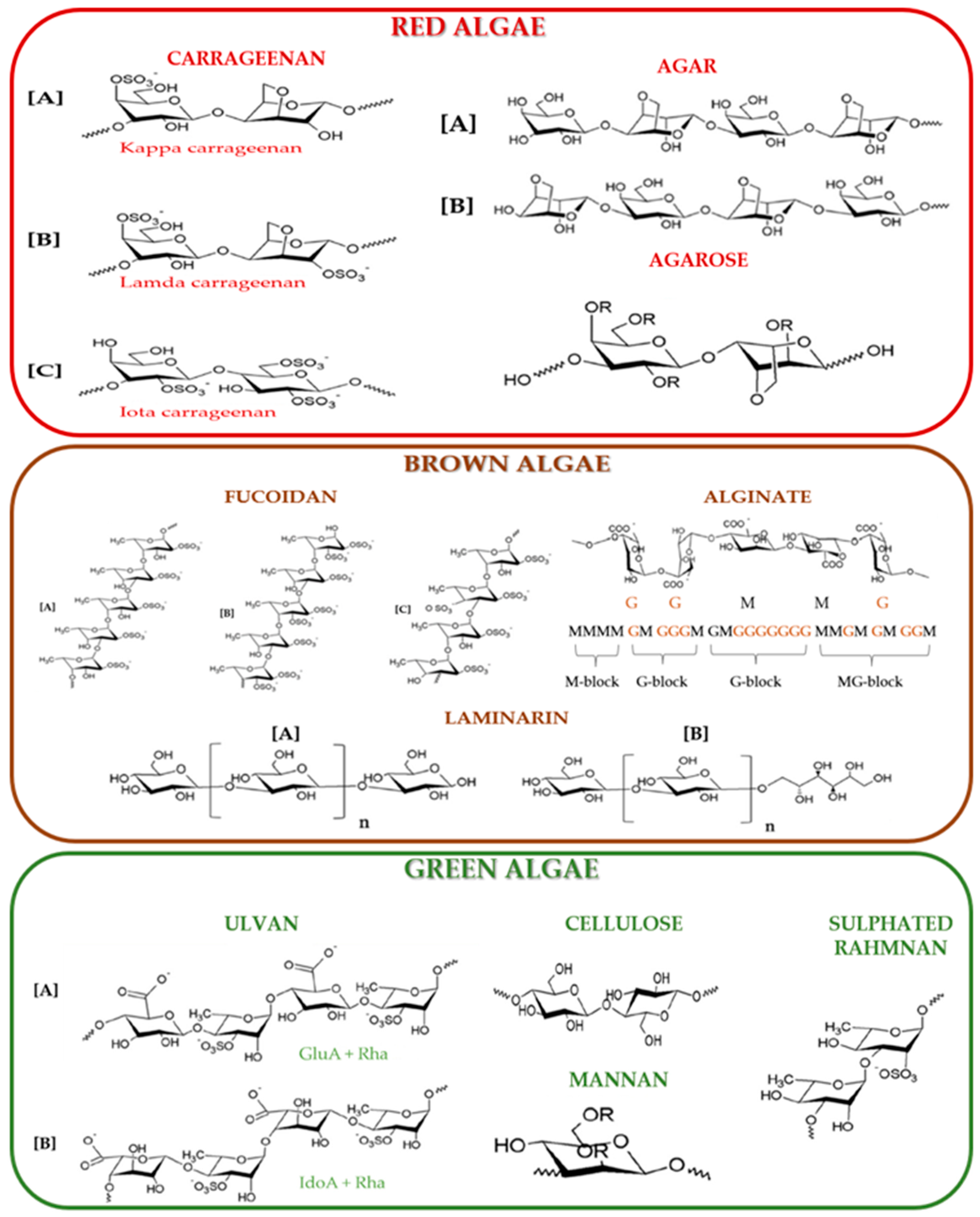 Marinedrugs 23 00152 g004