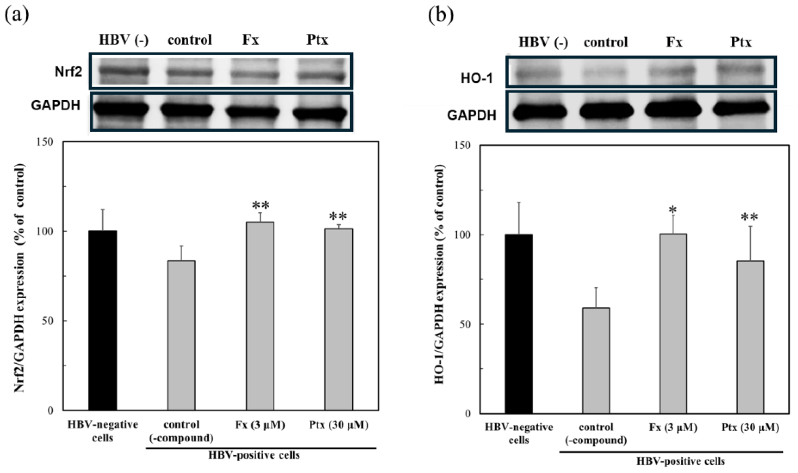 Marinedrugs 23 00155 g004