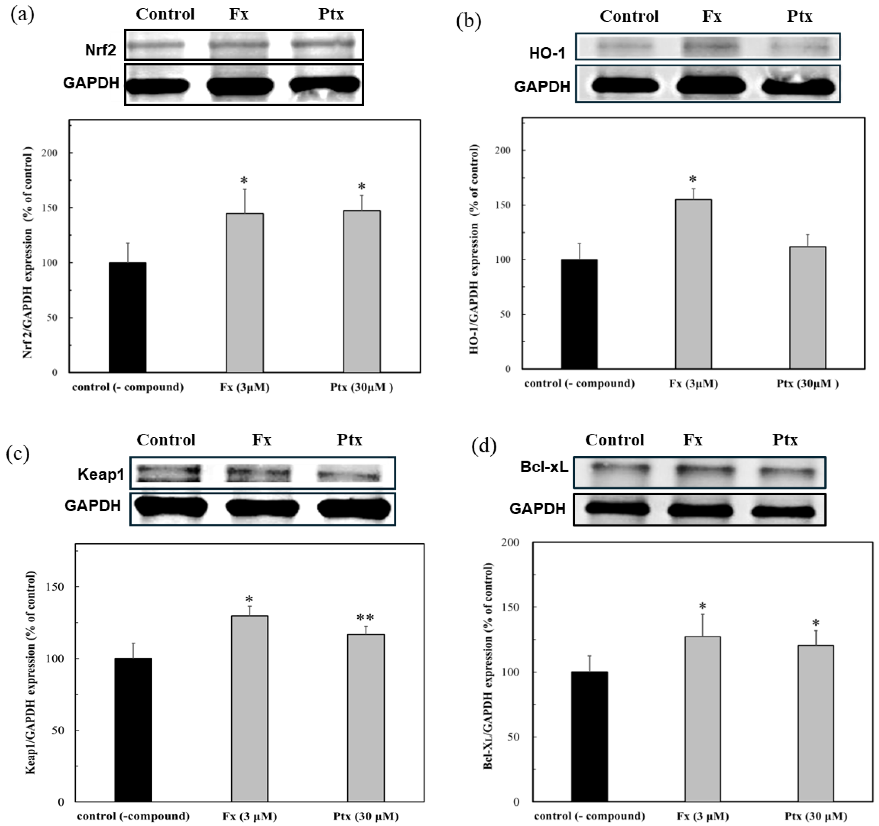 Marinedrugs 23 00155 g005