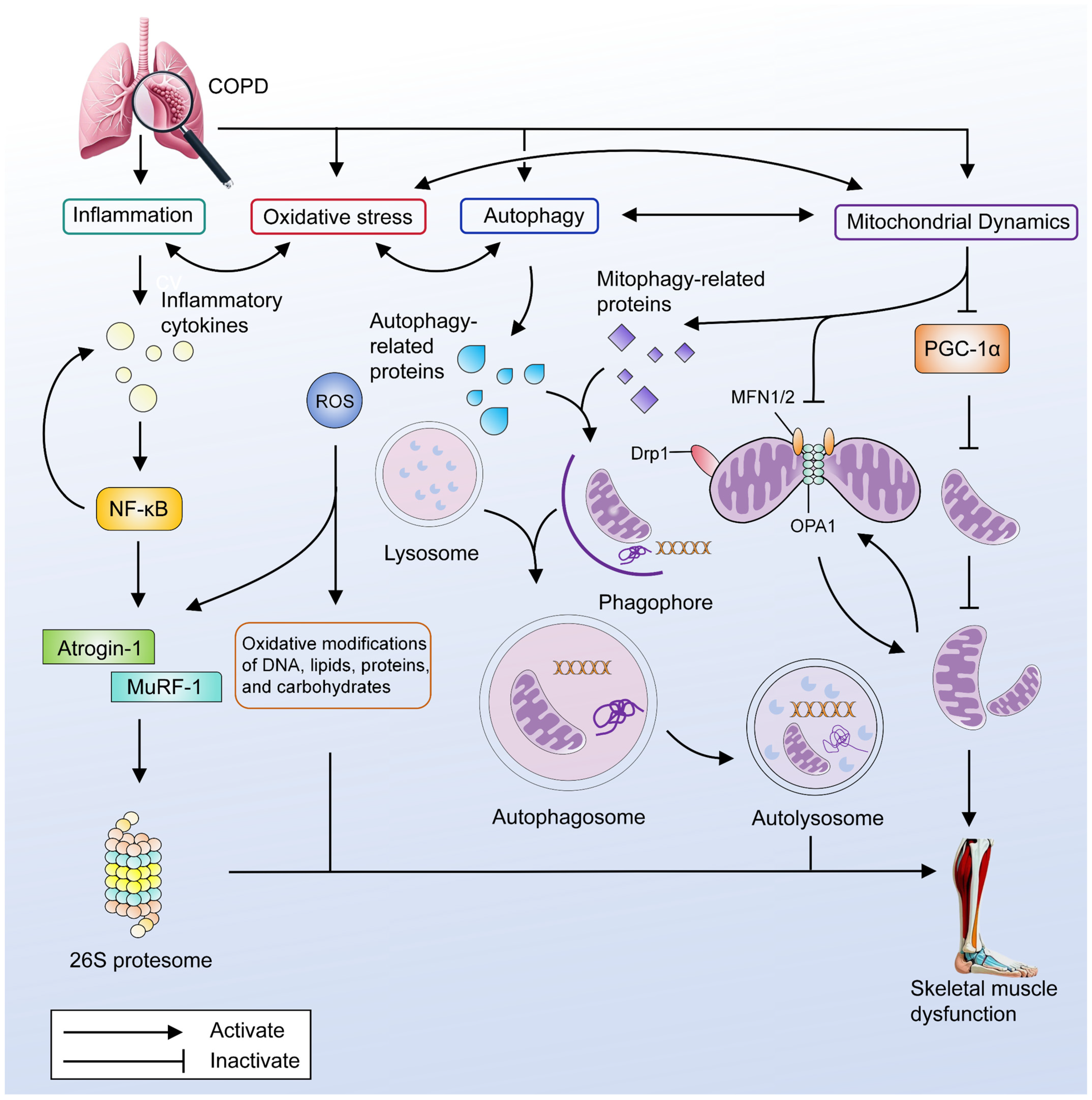 Marinedrugs 23 00158 g001