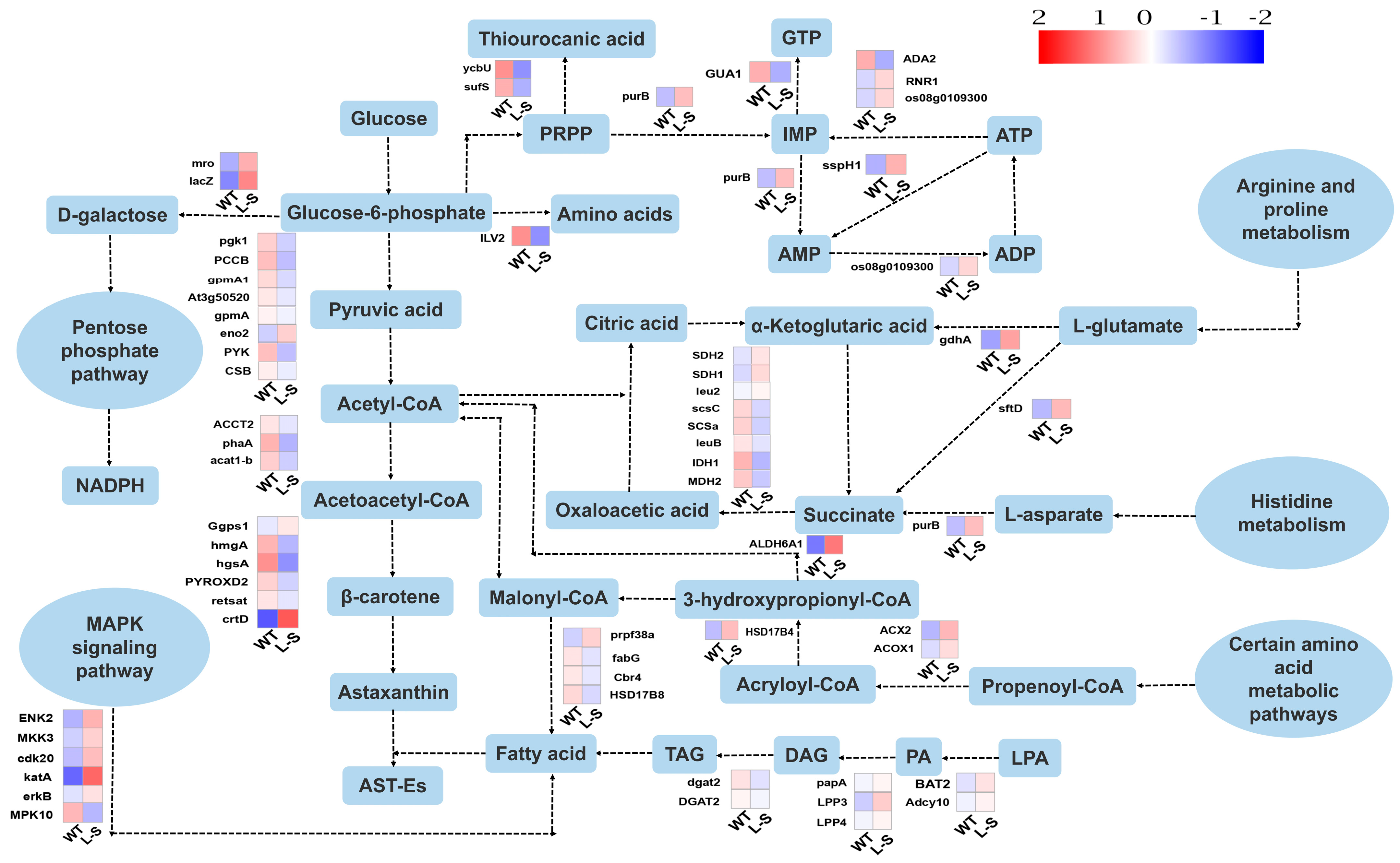 42235_2022_312_Fig5_HTML.png