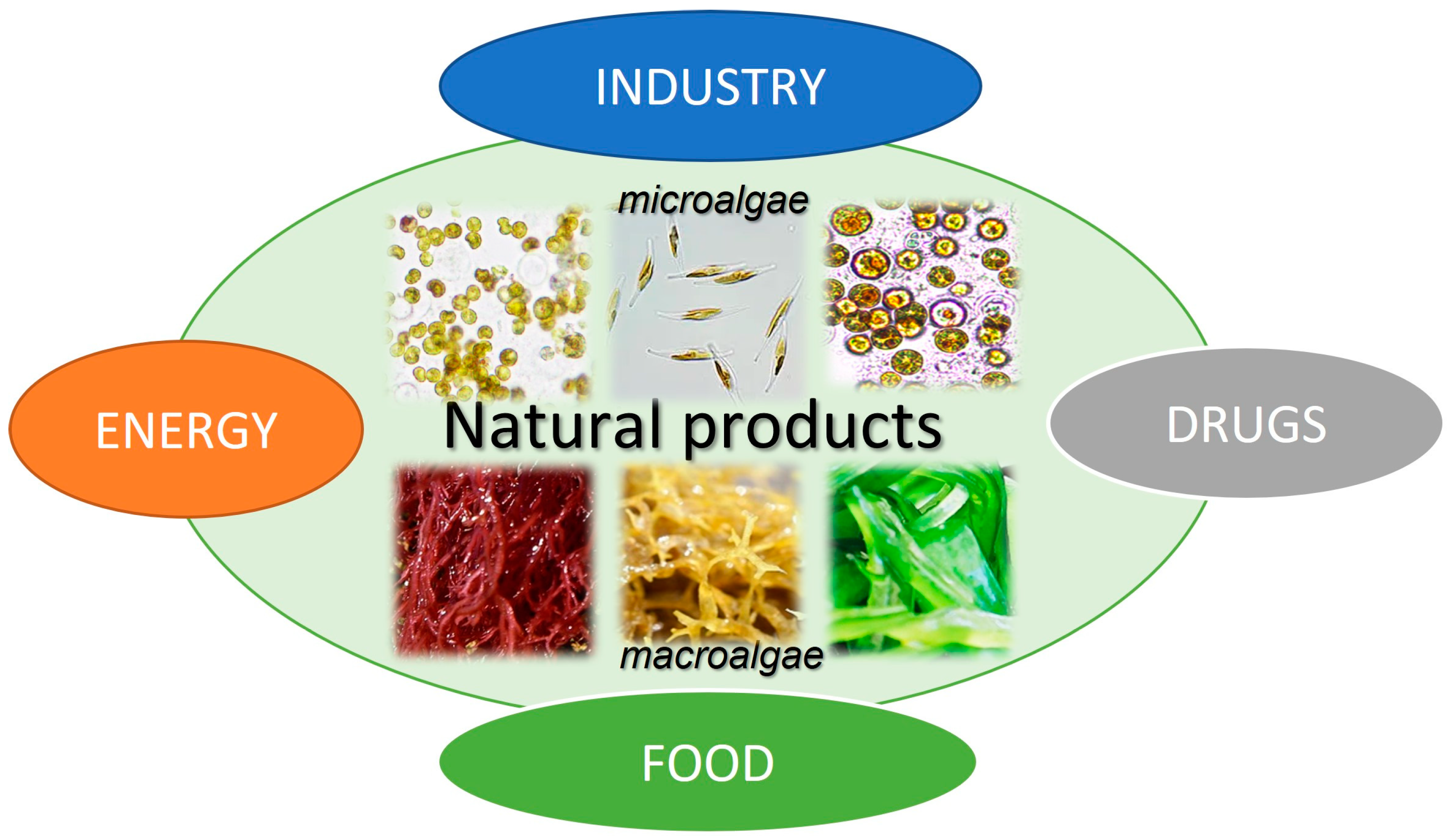 Marinedrugs 23 00165 g001