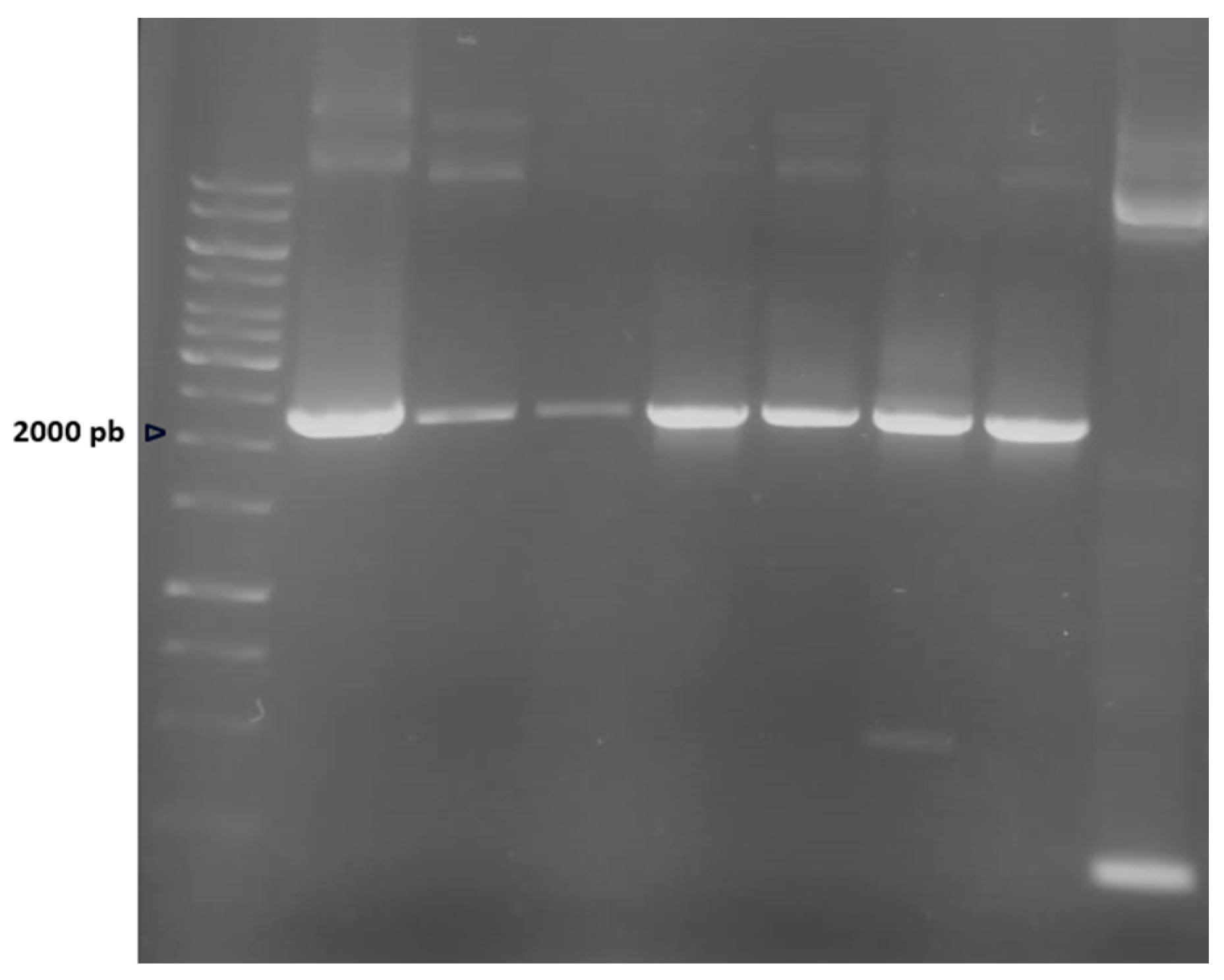 Marinedrugs 23 00166 g001