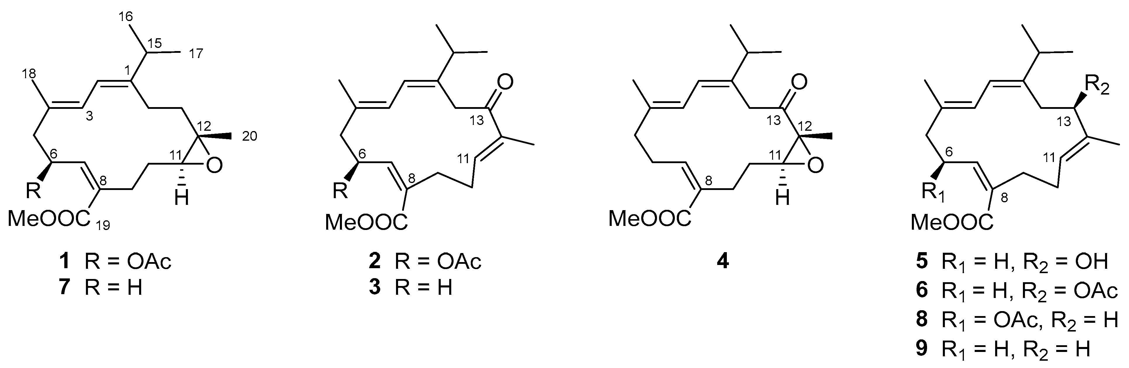 Marinedrugs 23 00170 g001