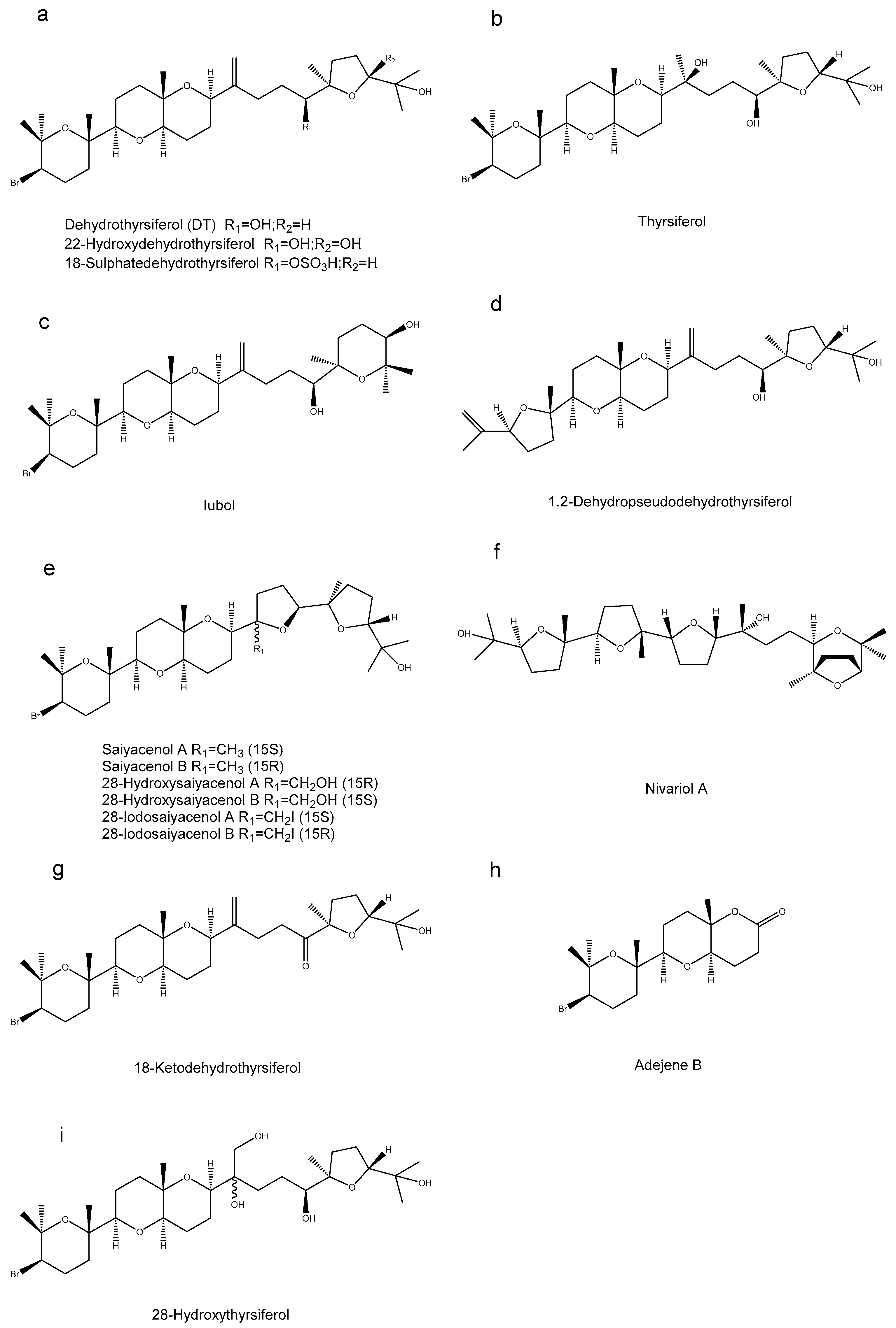 Marinedrugs 23 00171 g003
