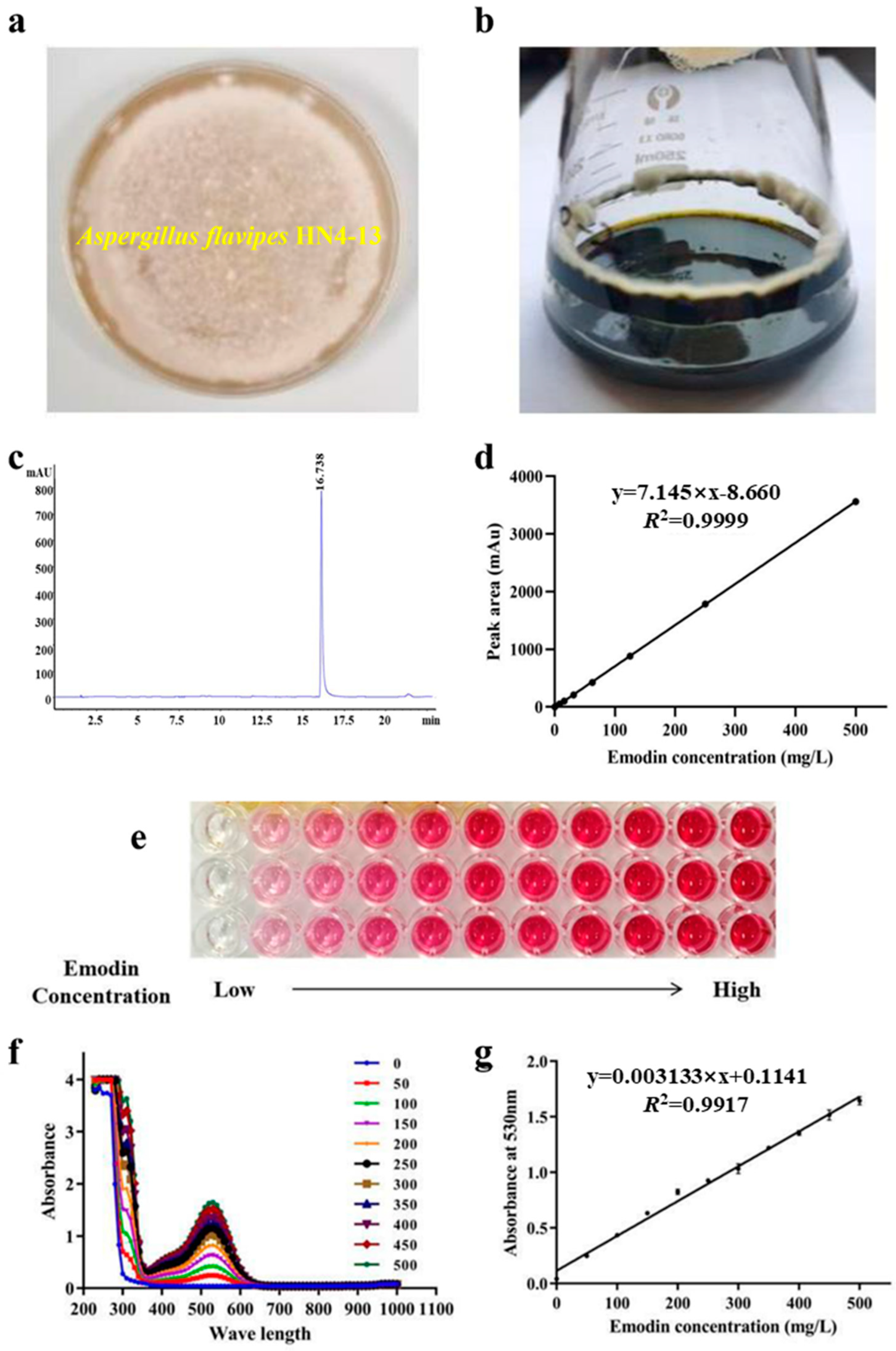 Marinedrugs 23 00174 g001
