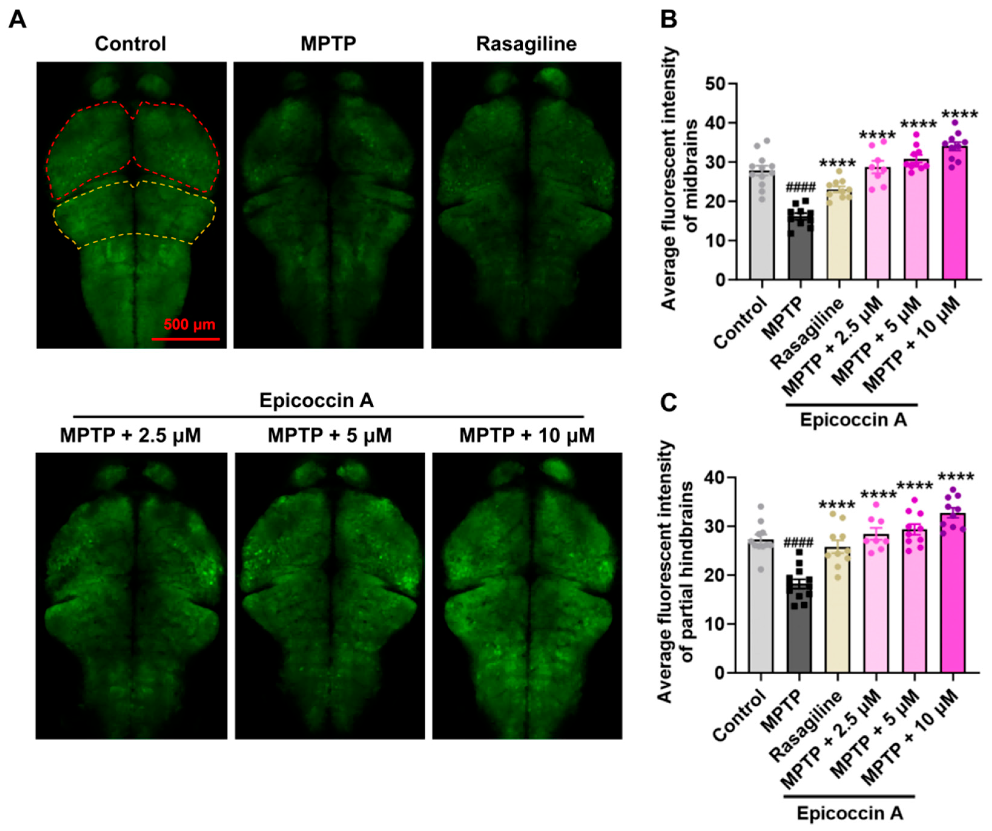 Marinedrugs 23 00175 g003