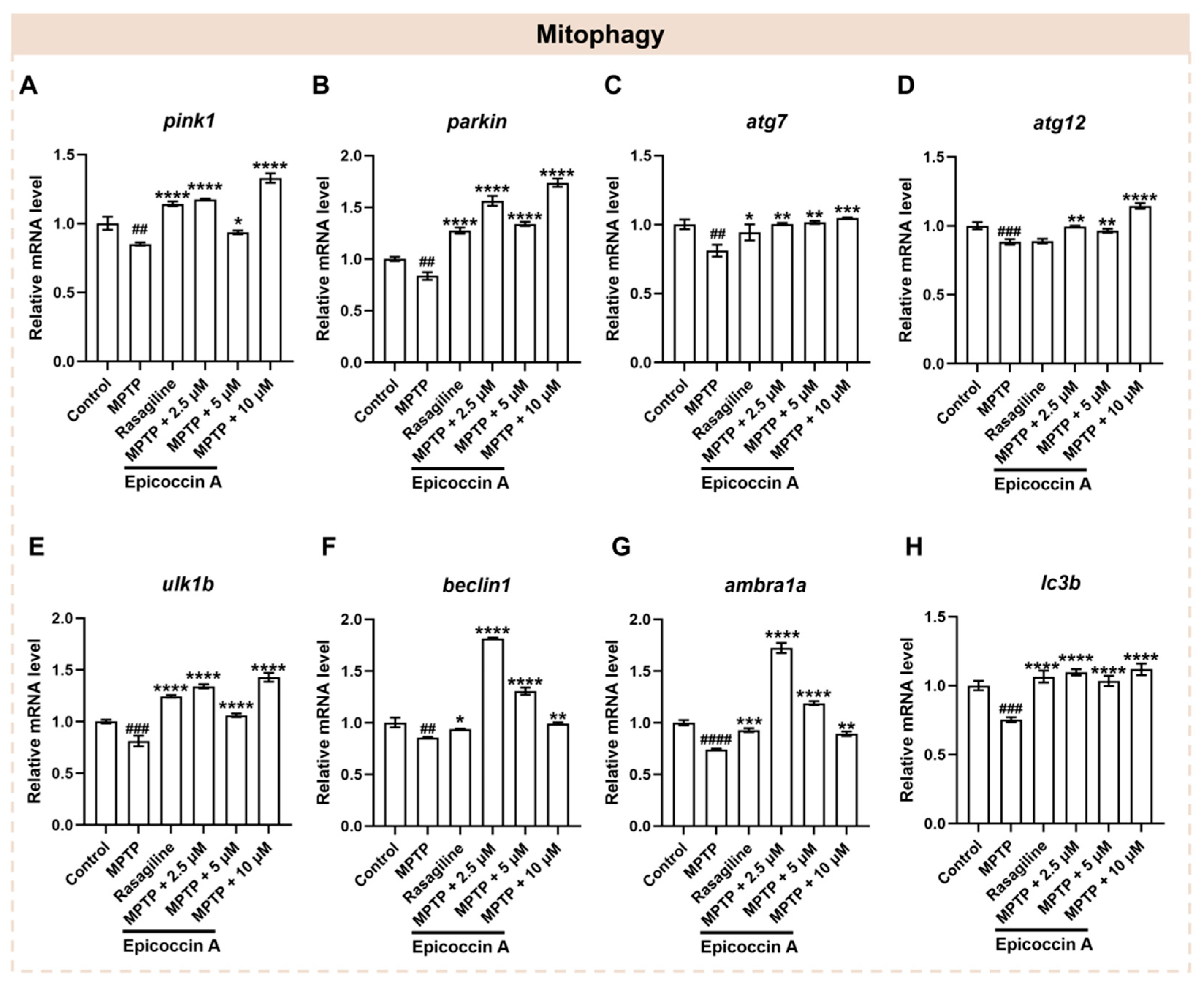 Marinedrugs 23 00175 g008