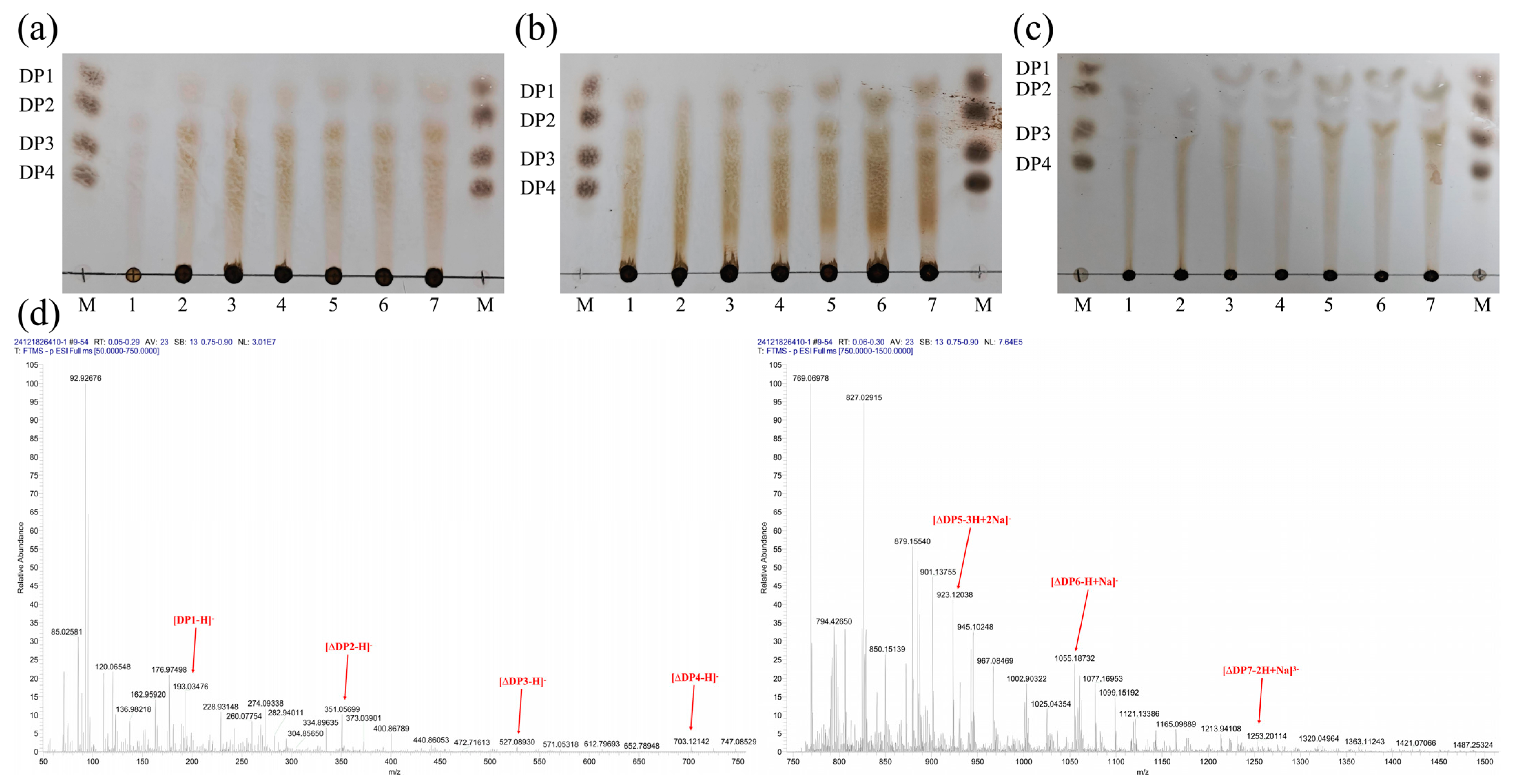 The Identification and Characterization of a Novel Alginate
