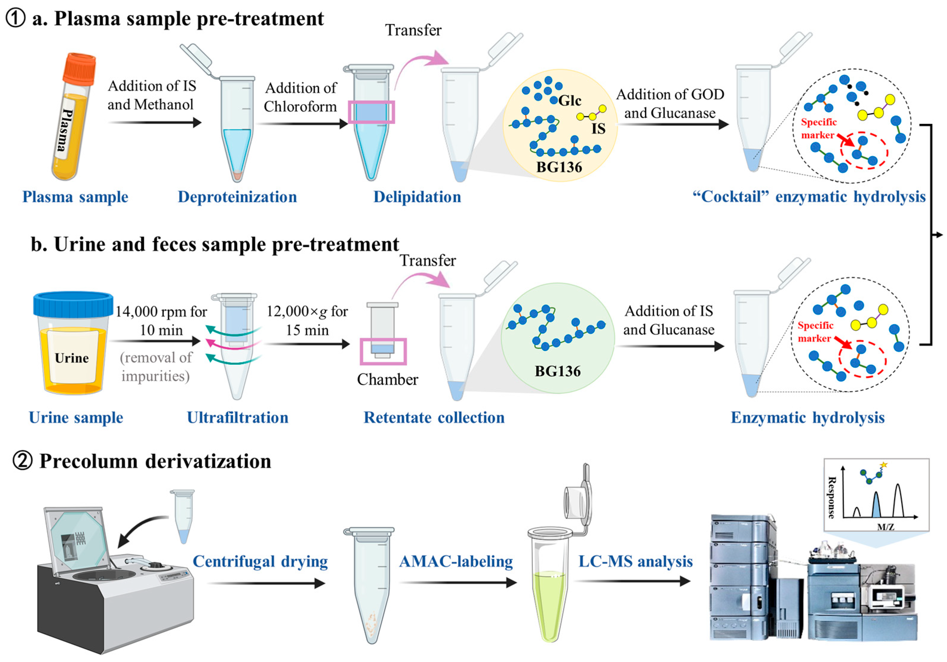 Marinedrugs 23 00177 g008