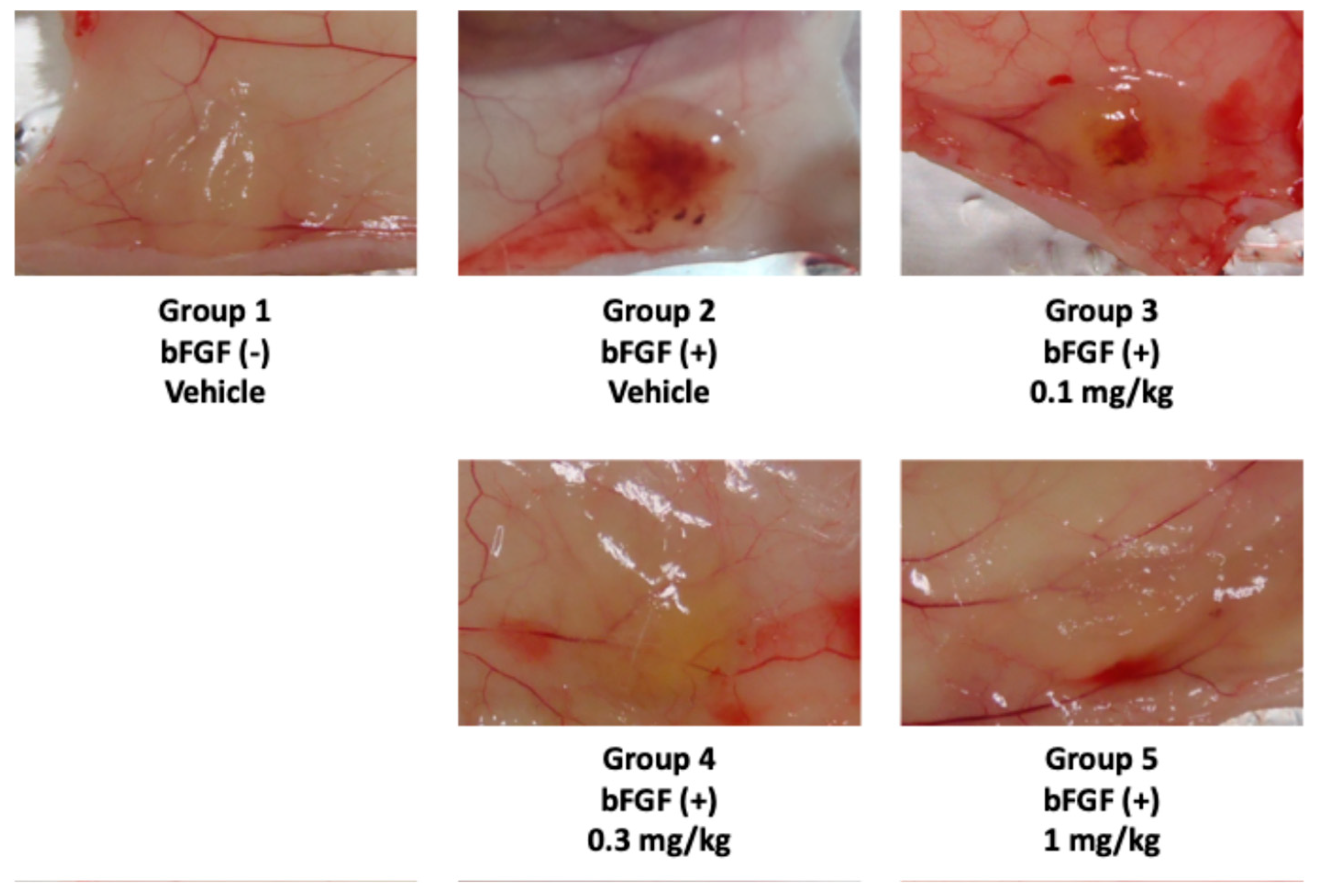 Marinedrugs 23 00179 g004