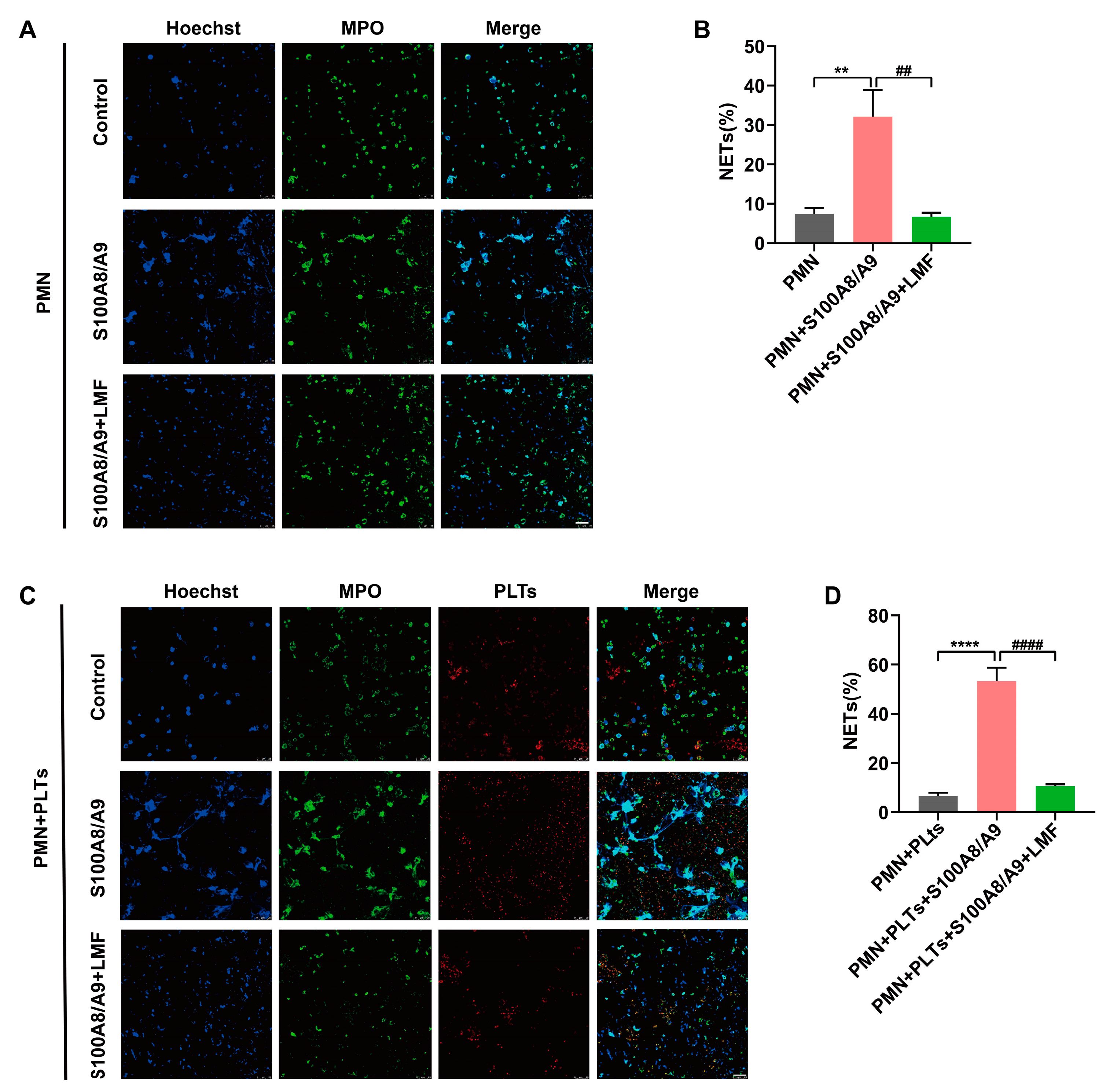 Marinedrugs 23 00180 g005