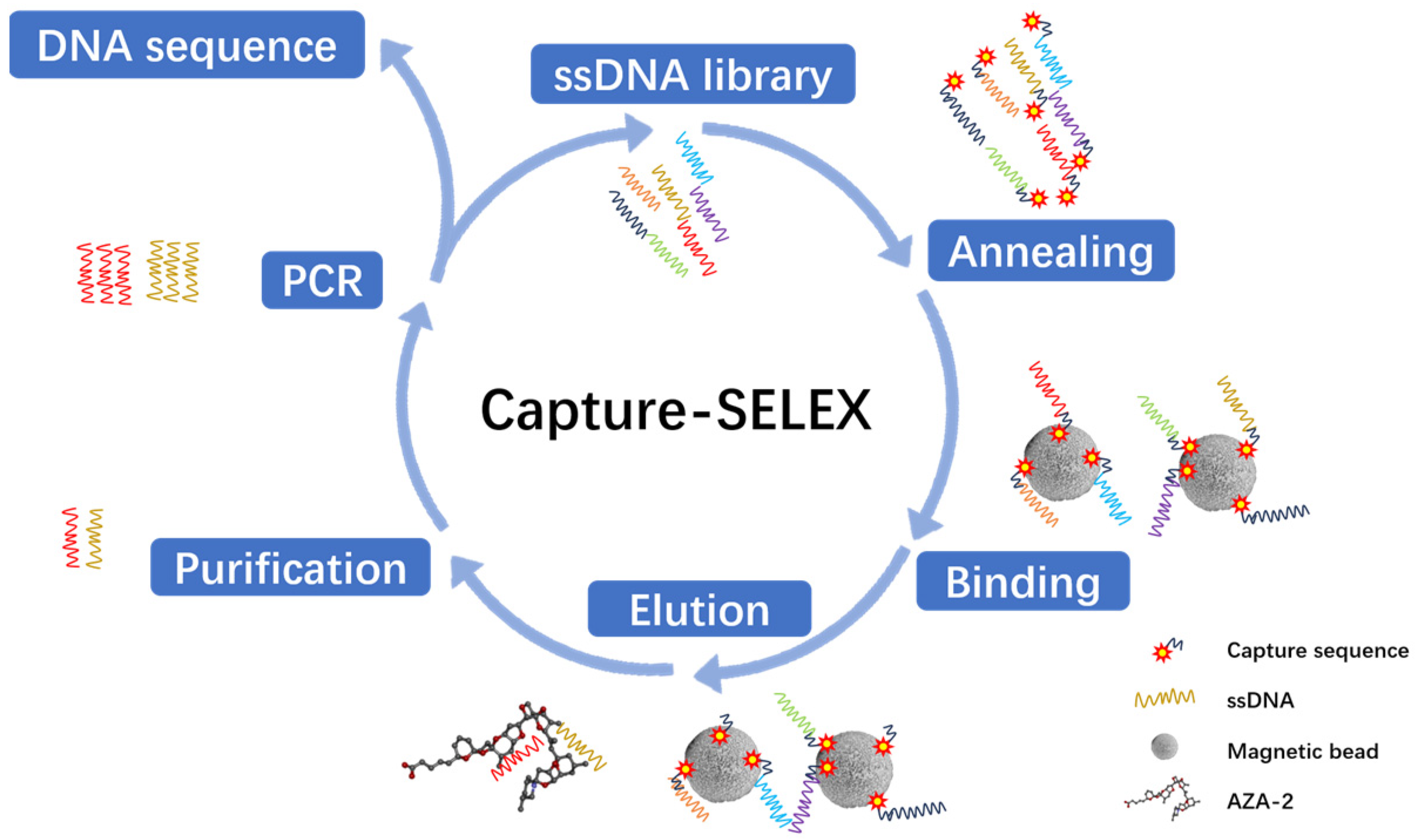 Marinedrugs 23 00183 g001