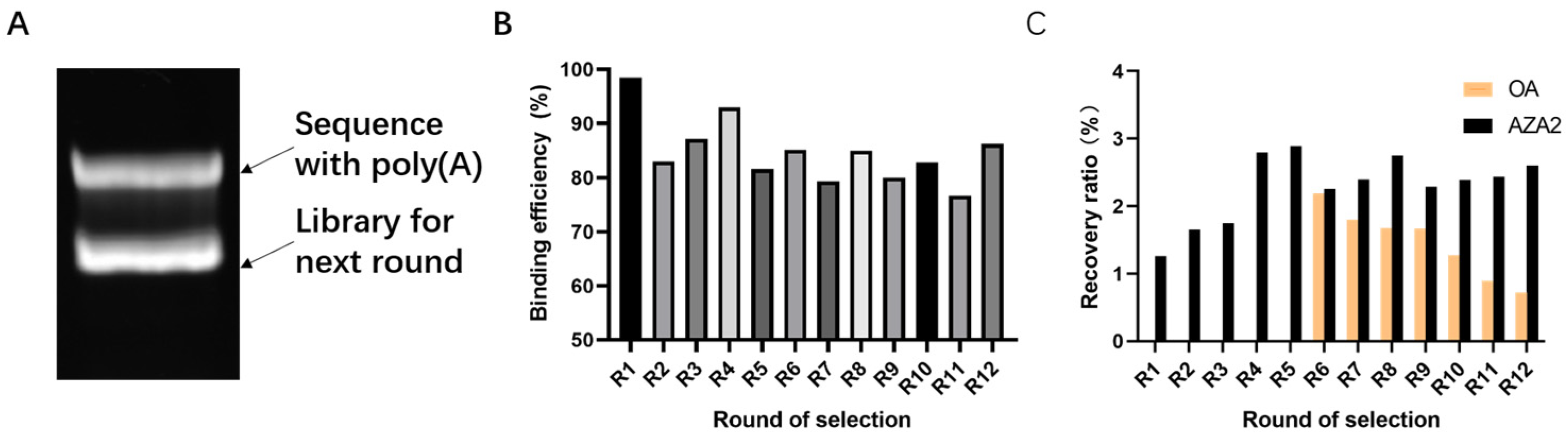 Marinedrugs 23 00183 g002