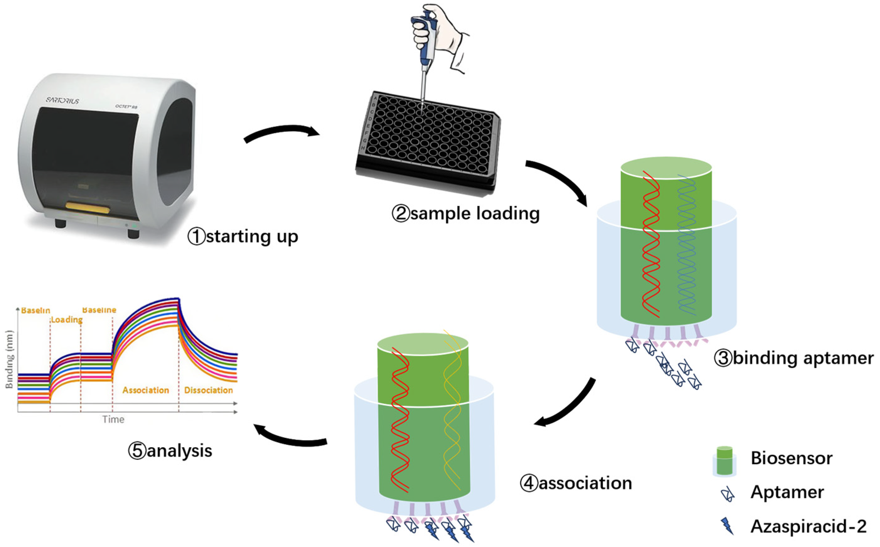 Marinedrugs 23 00183 g004