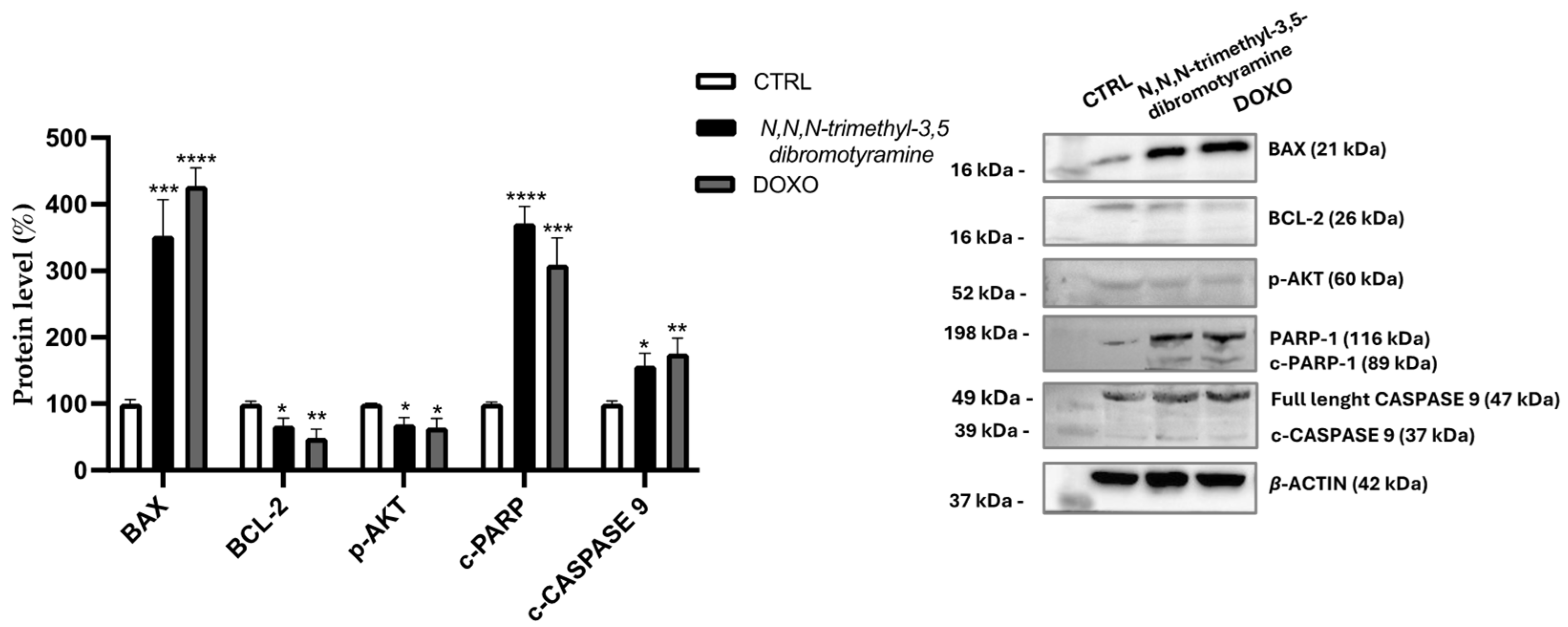 Marinedrugs 23 00187 g005