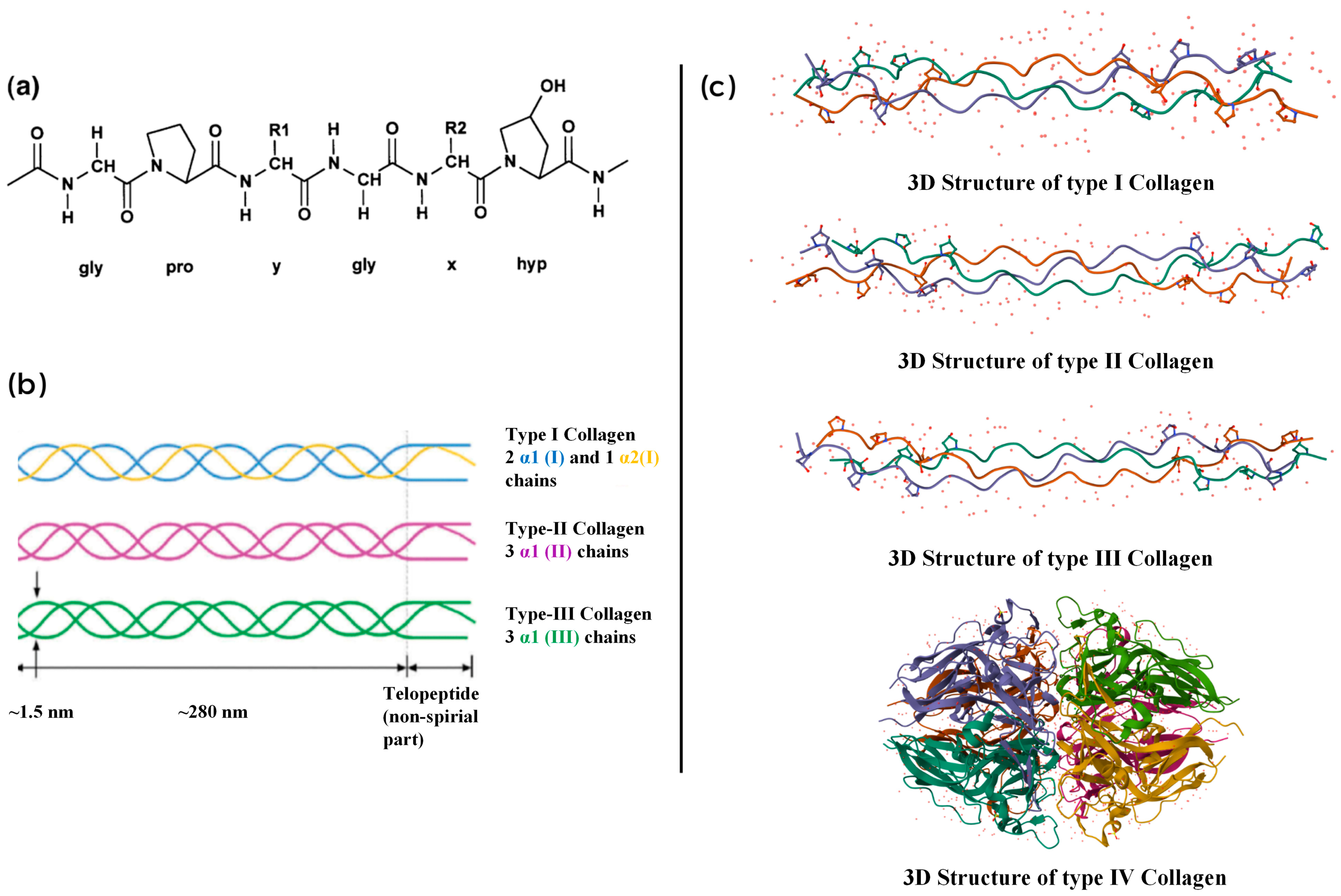 Marinedrugs 23 00190 g001