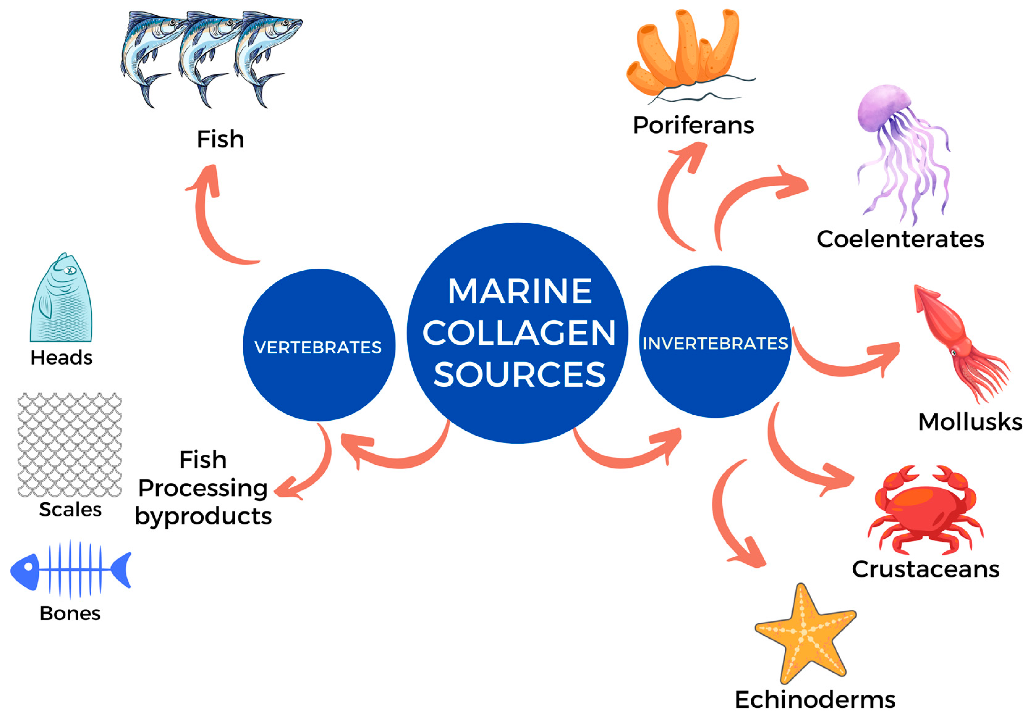 Marinedrugs 23 00190 g002