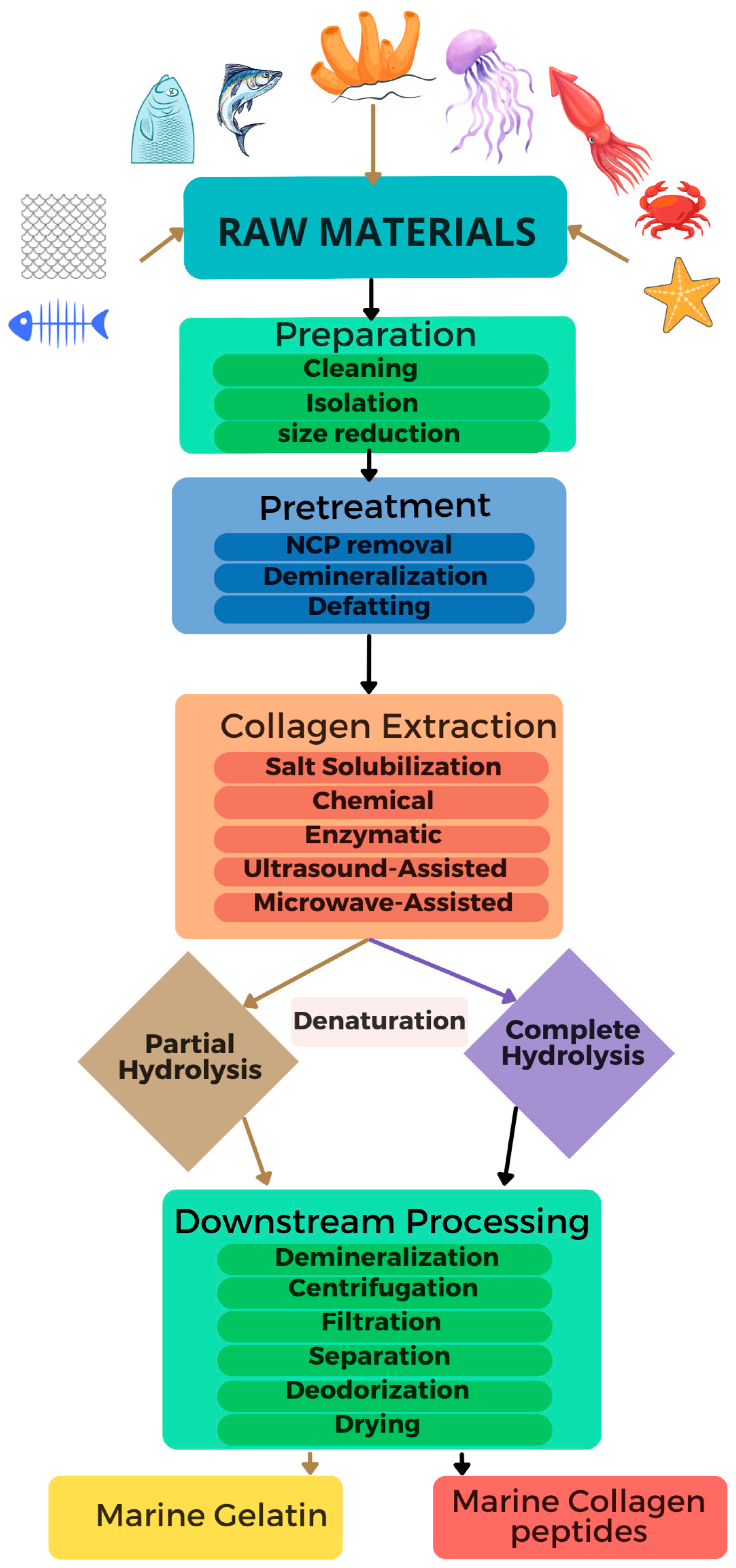 Marinedrugs 23 00190 g003