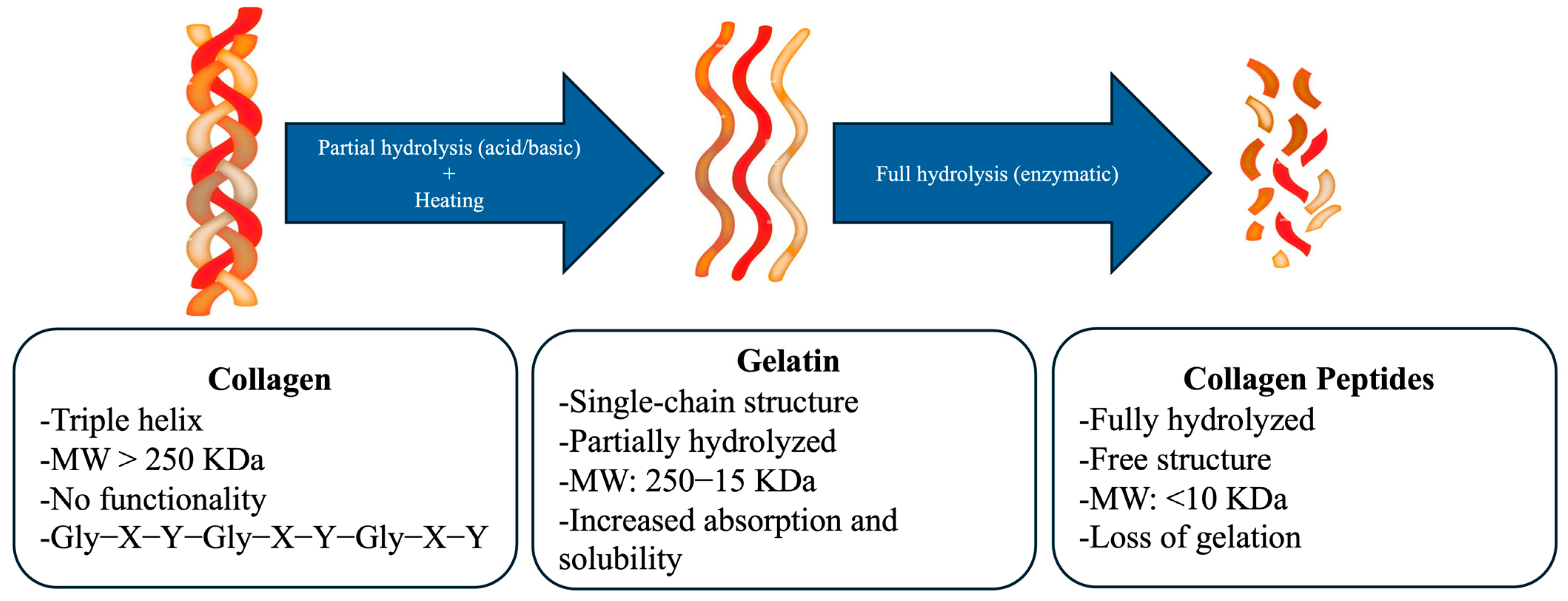 Marinedrugs 23 00190 g004