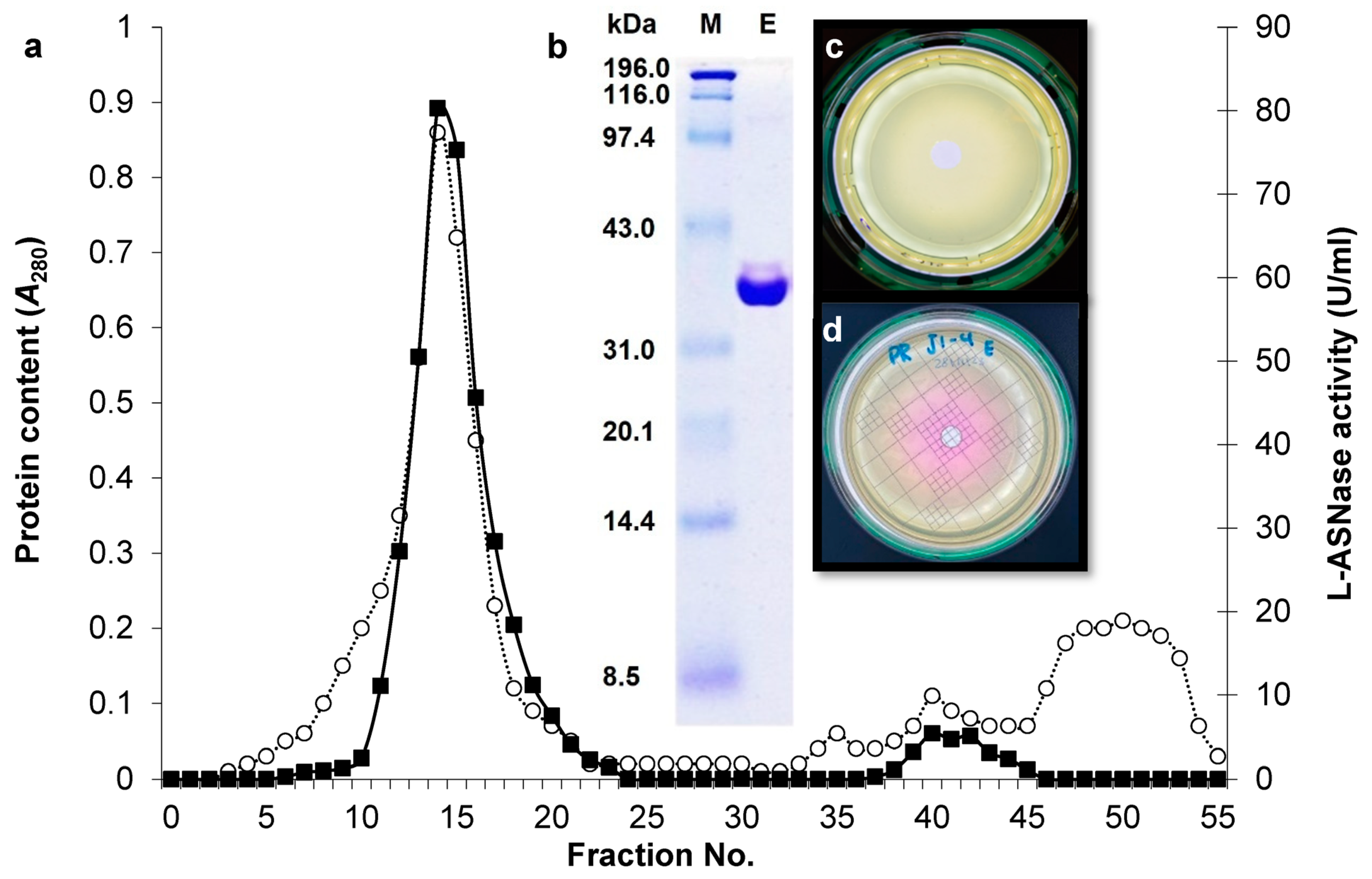 Marinedrugs 23 00194 g002
