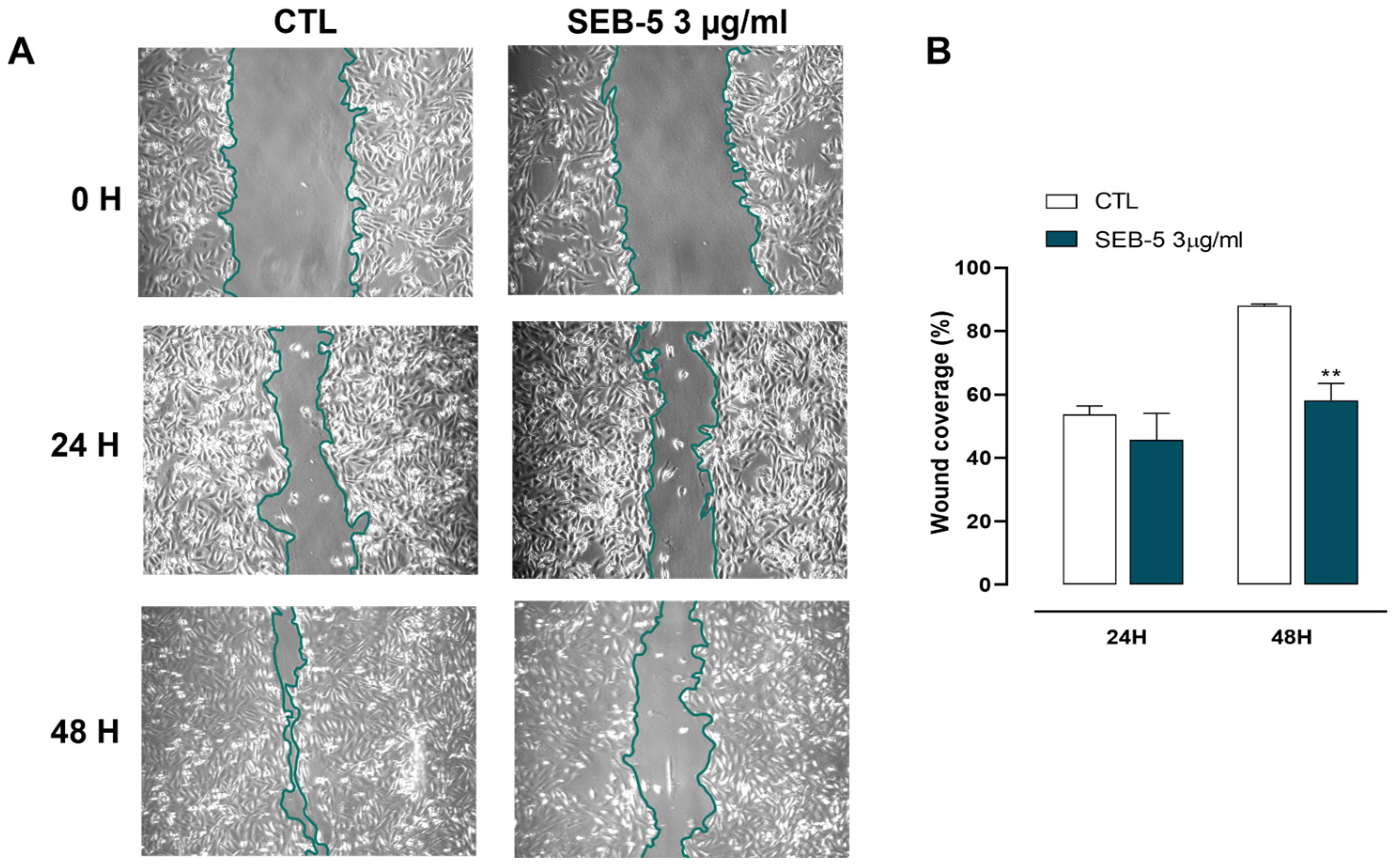 Marinedrugs 23 00195 g006