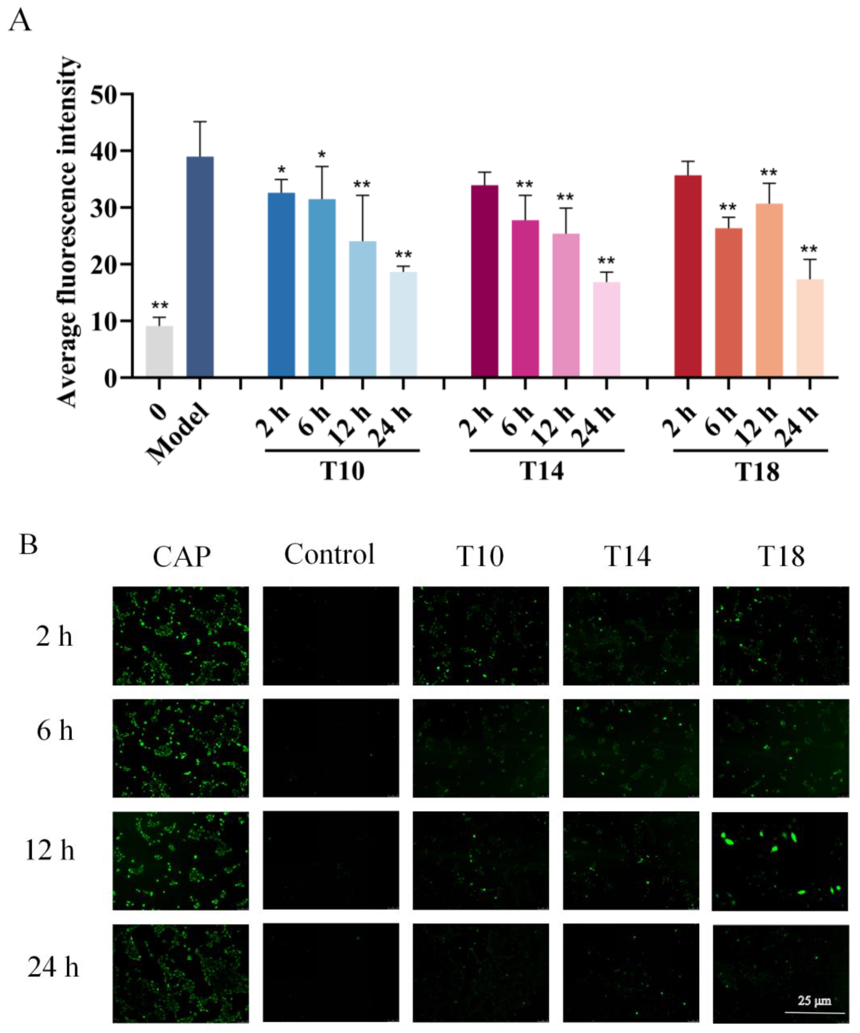 Marinedrugs 23 00196 g002