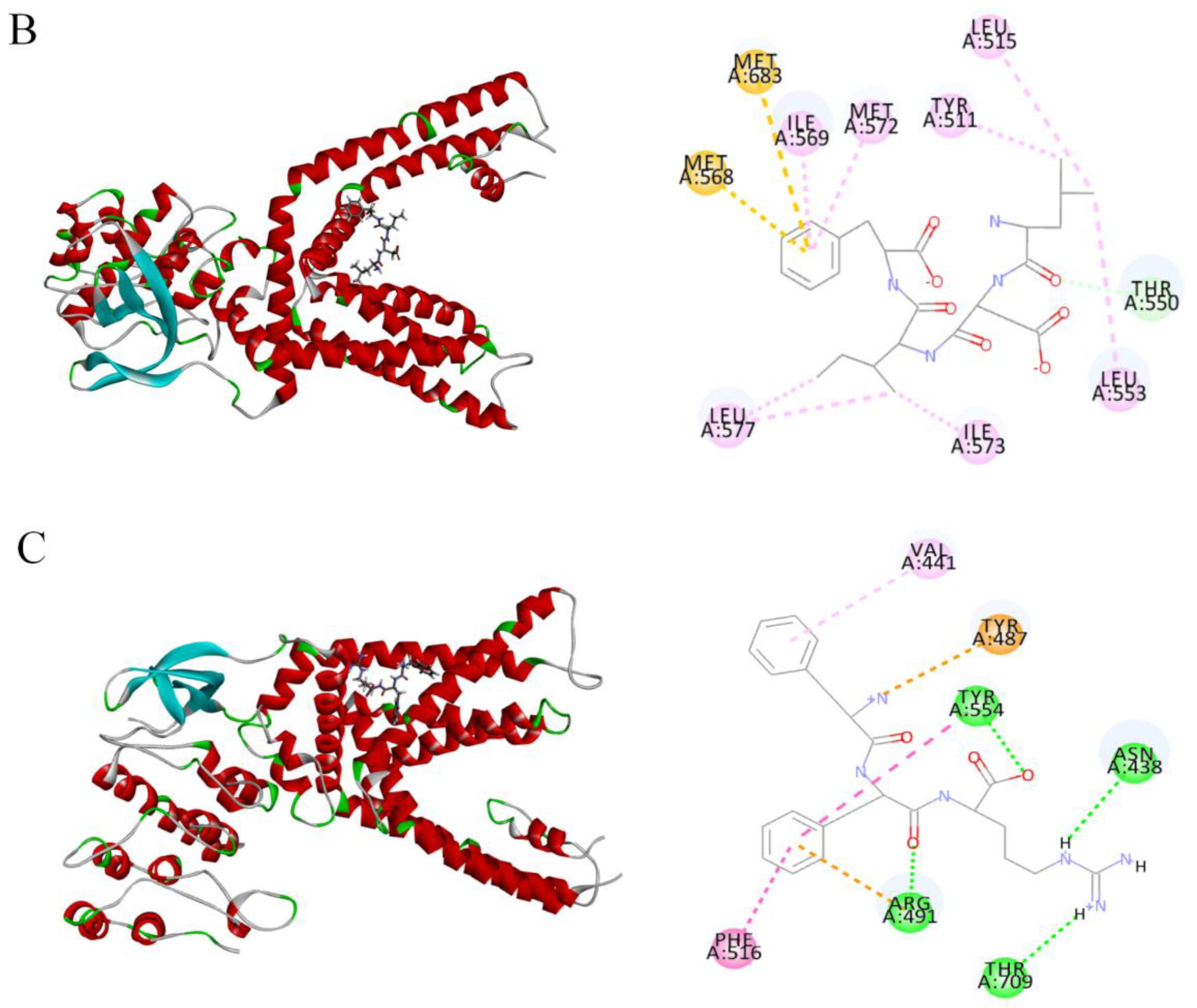 Marinedrugs 23 00196 g003b
