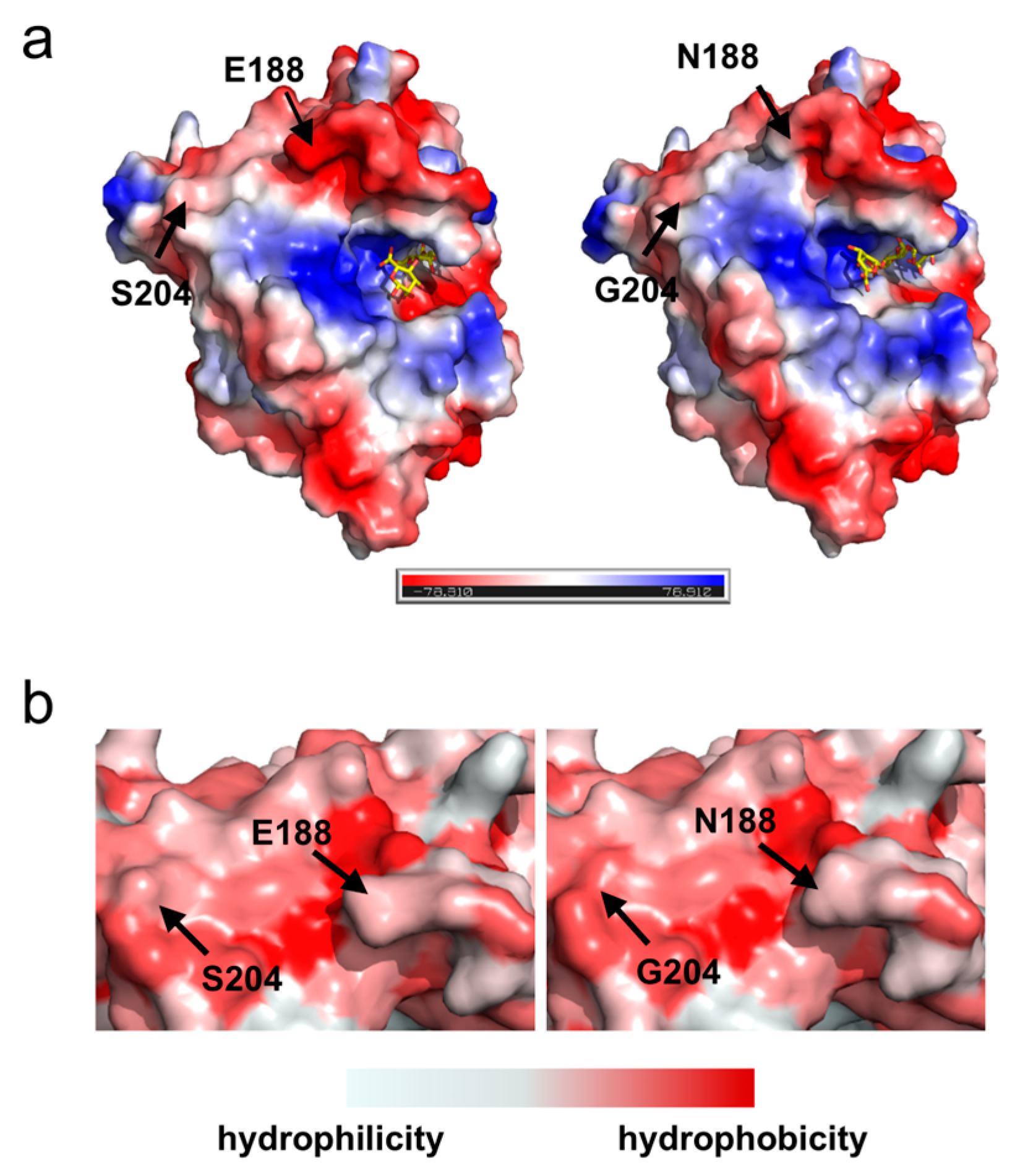 Marinedrugs 23 00198 g006