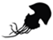 Marinedrugs 23 00200 i028