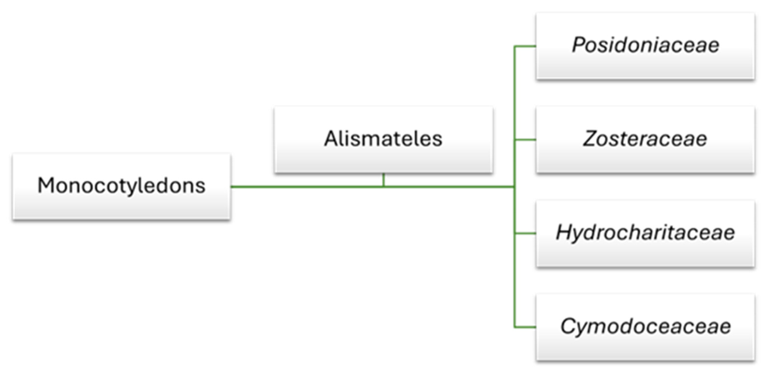 Marinedrugs 23 00206 g001