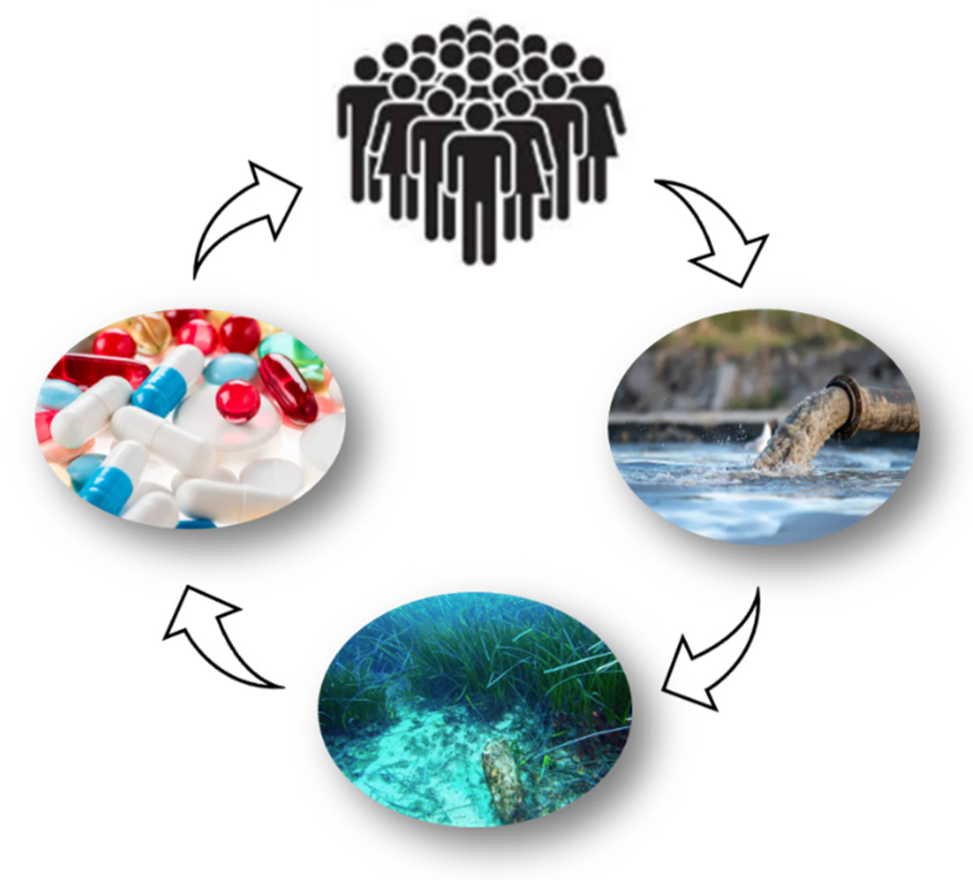 Marinedrugs 23 00206 g003