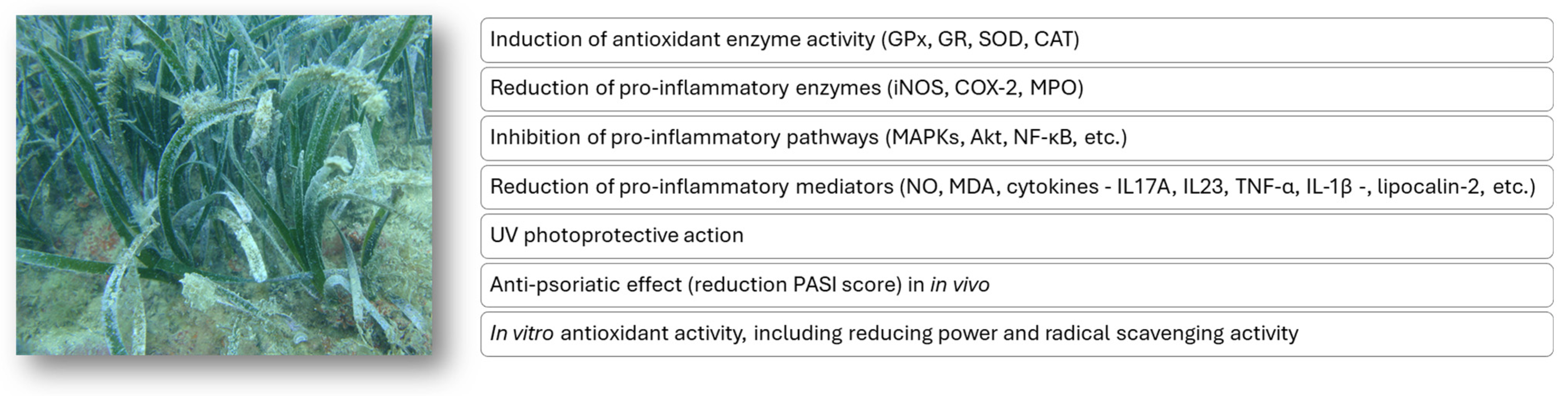 Marinedrugs 23 00206 g004