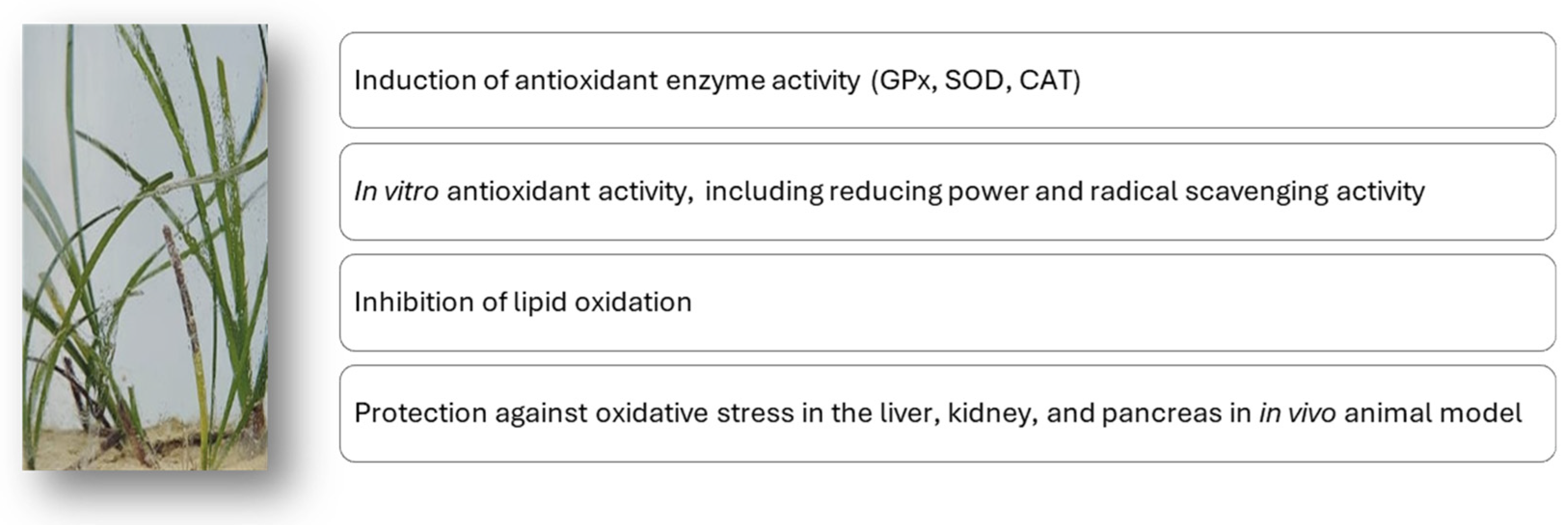 Marinedrugs 23 00206 g005