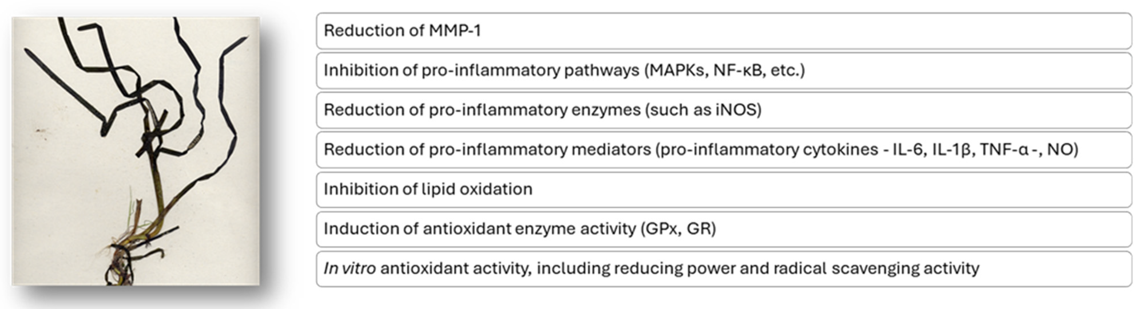 Marinedrugs 23 00206 g006