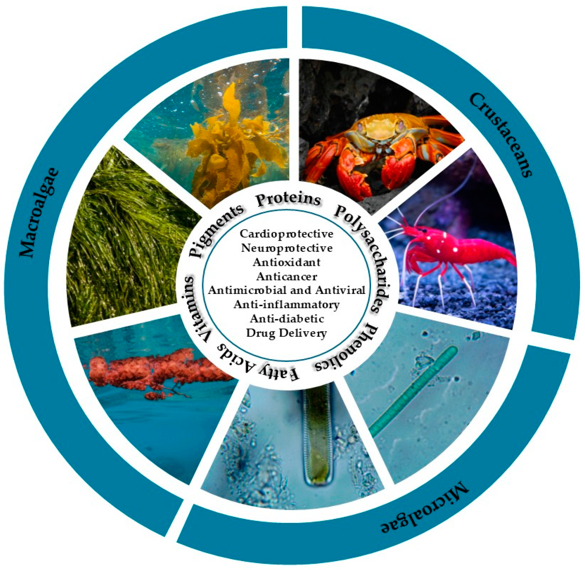 Marinedrugs 23 00207 g001