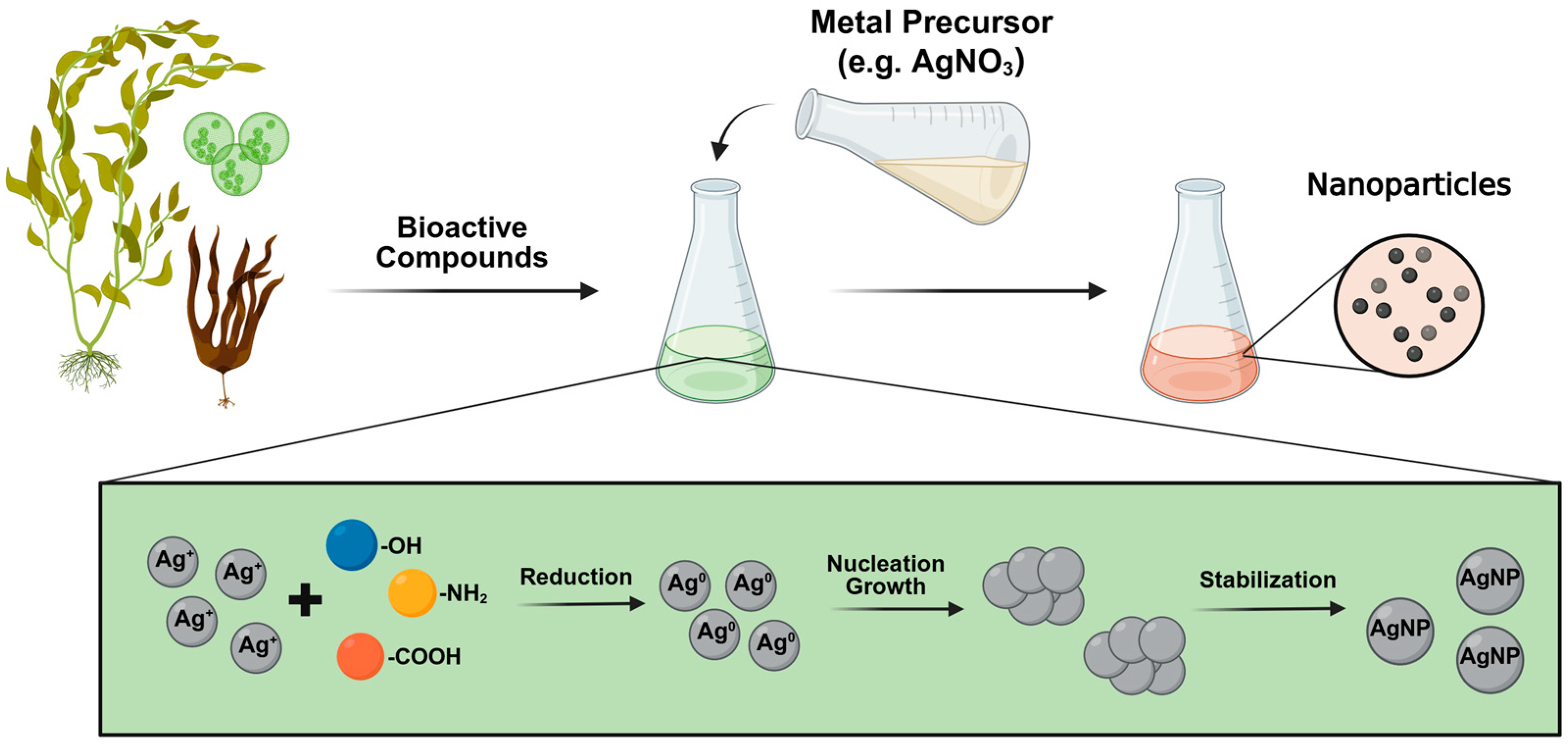 Marinedrugs 23 00207 g002