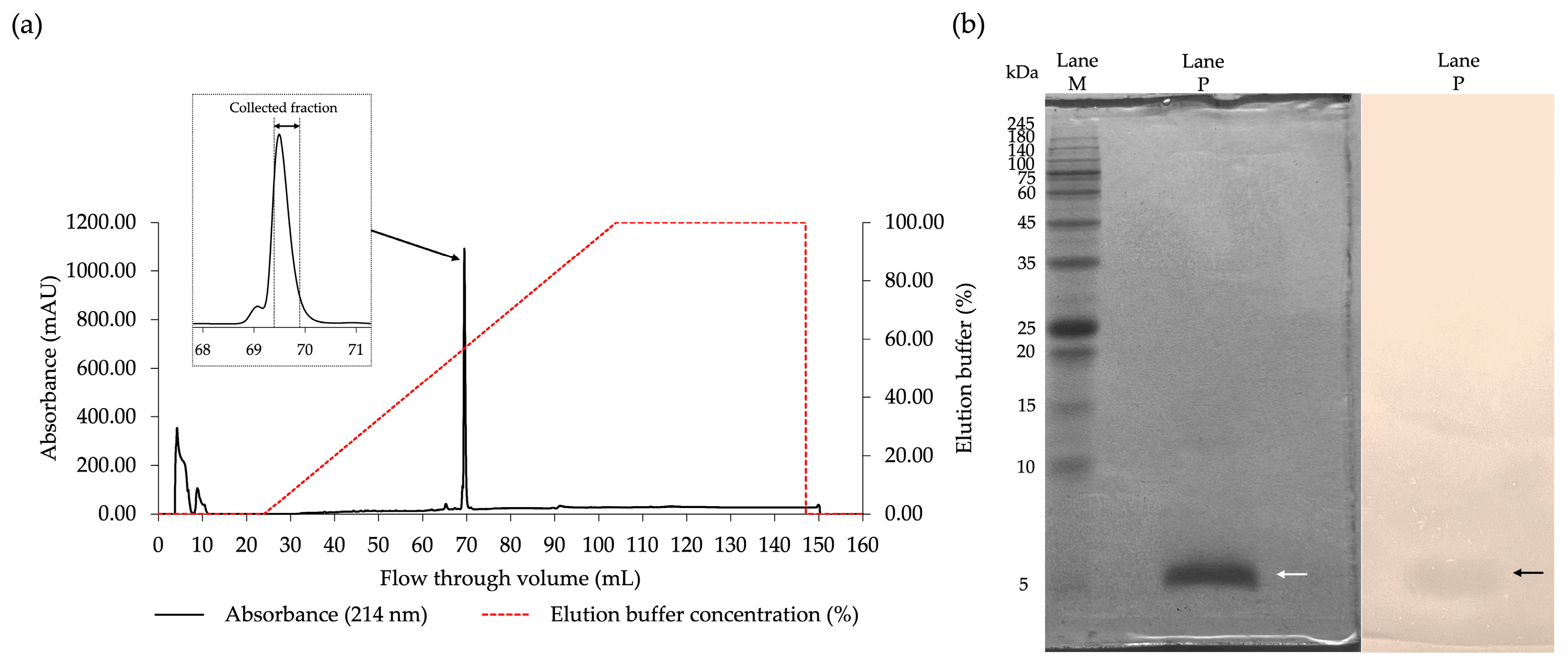 Marinedrugs 23 00209 g002 Marinedrugs 23 00209 g002